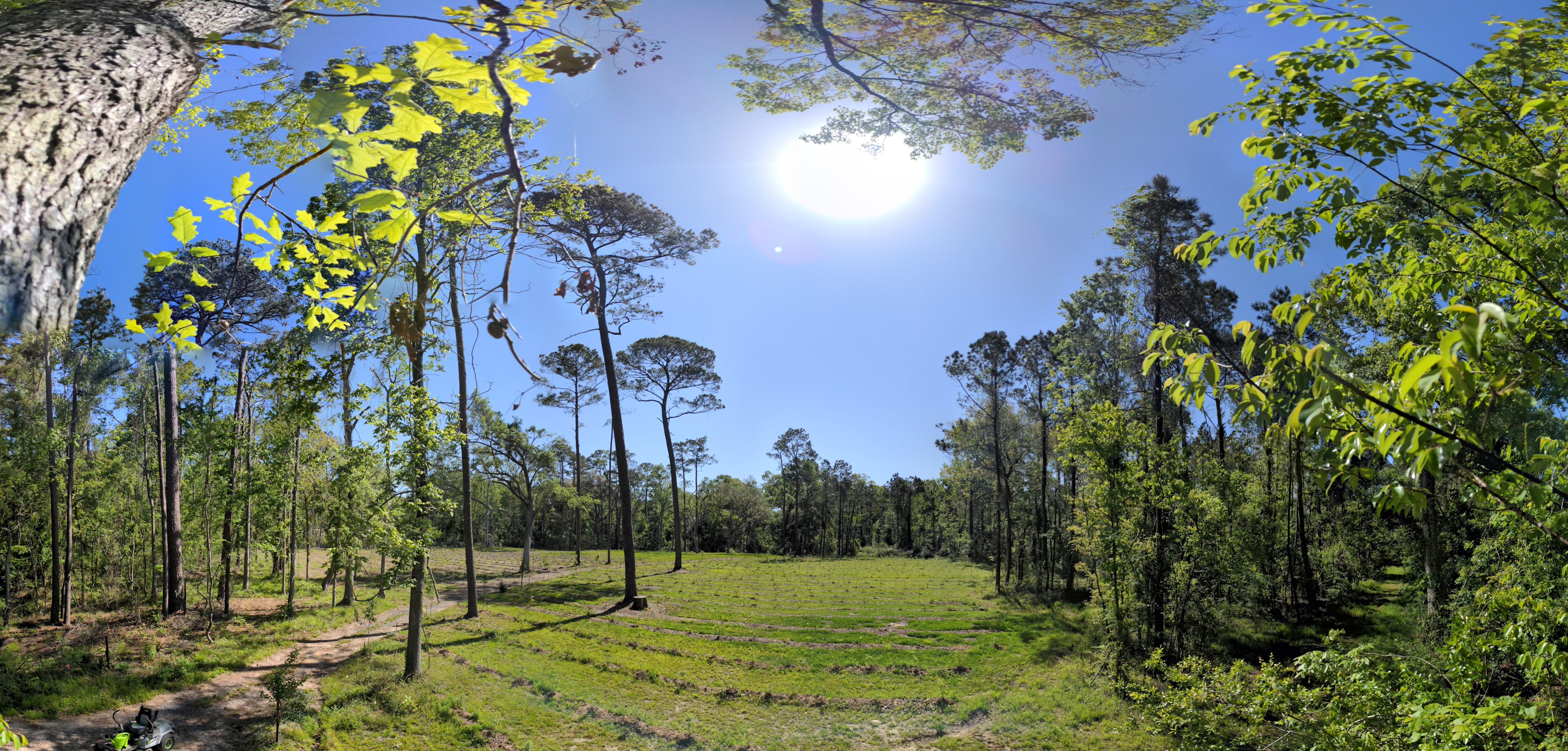 The blueberry field--one of the places you can pitch a tent if you like. 