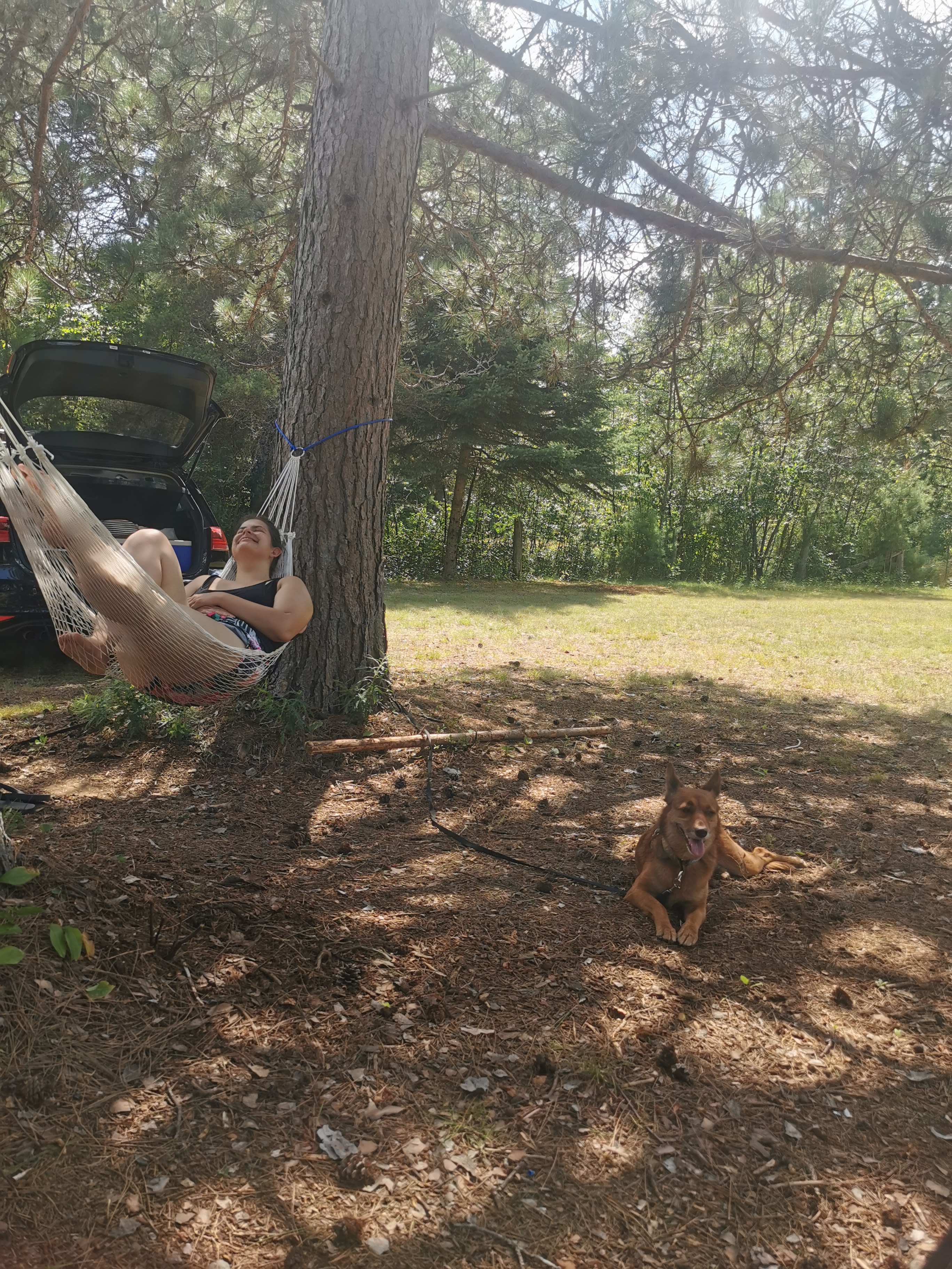 The Knotty Pines by Round Lake