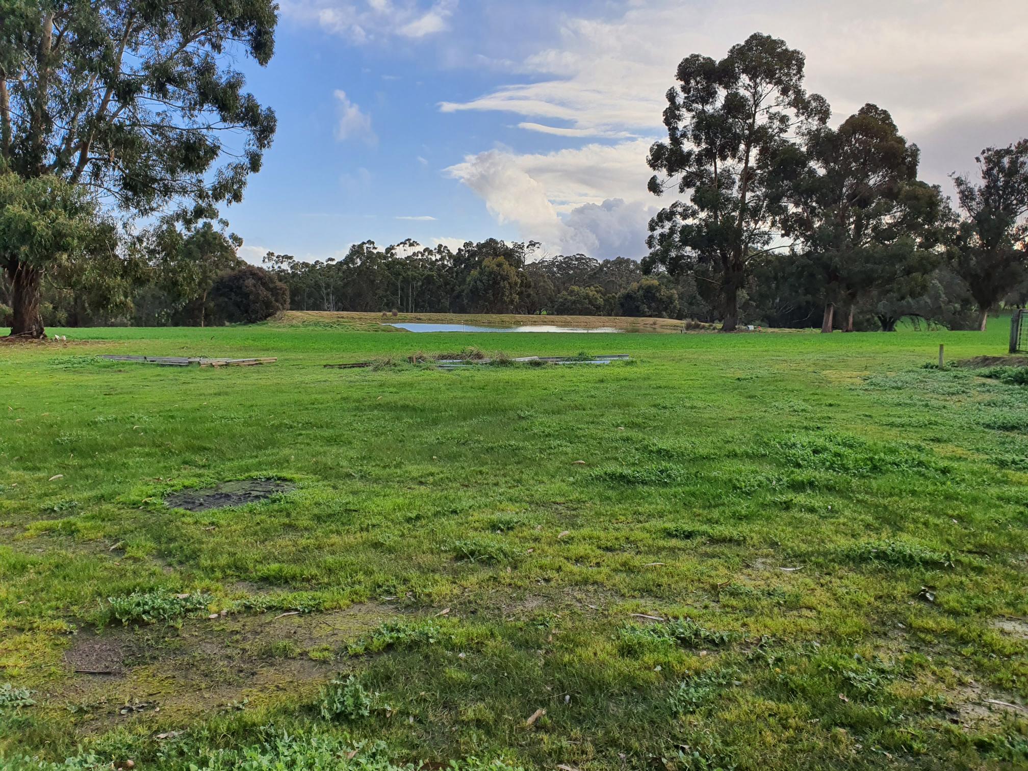 Catch a marron if you can