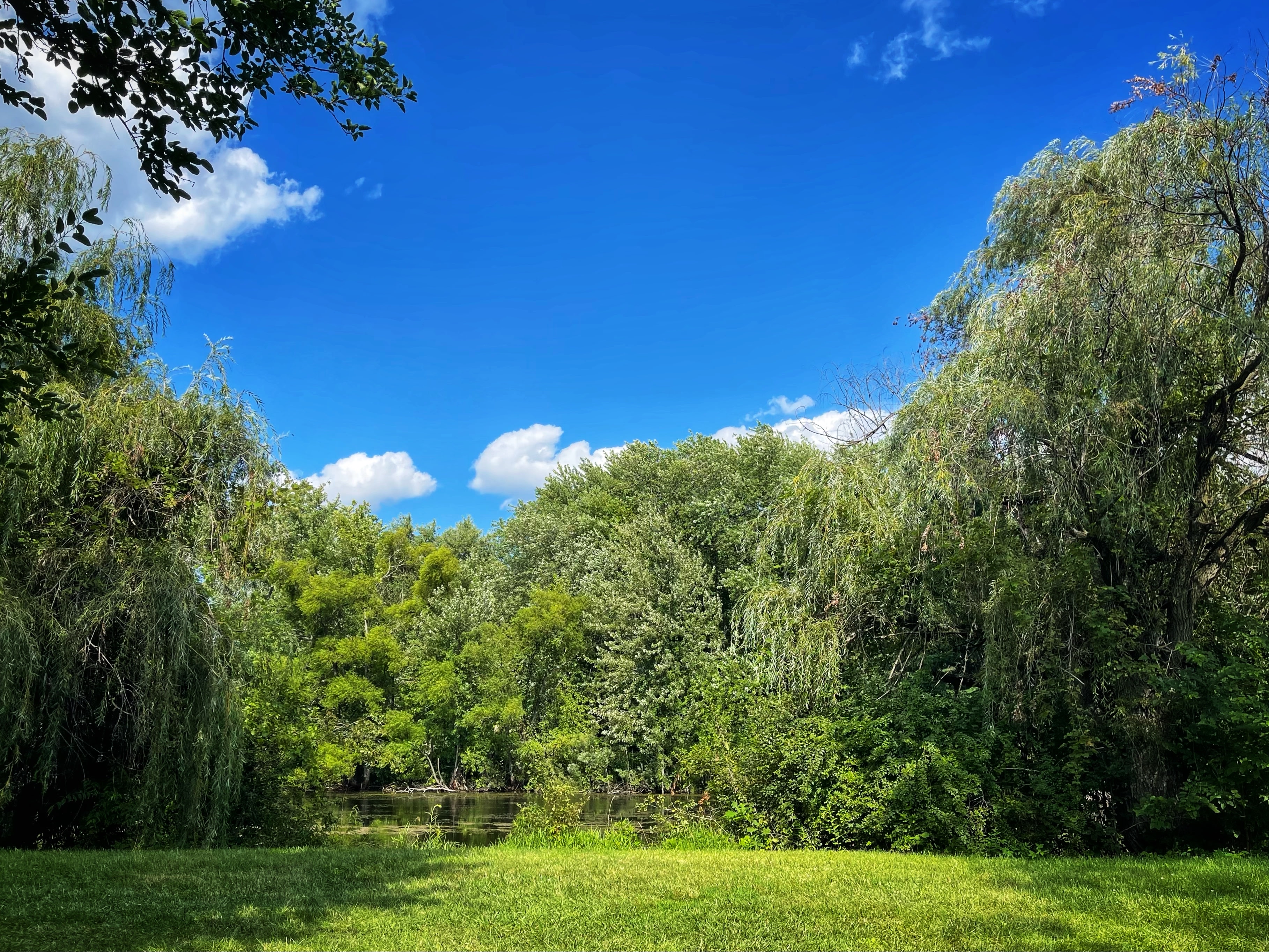 Willowthorne