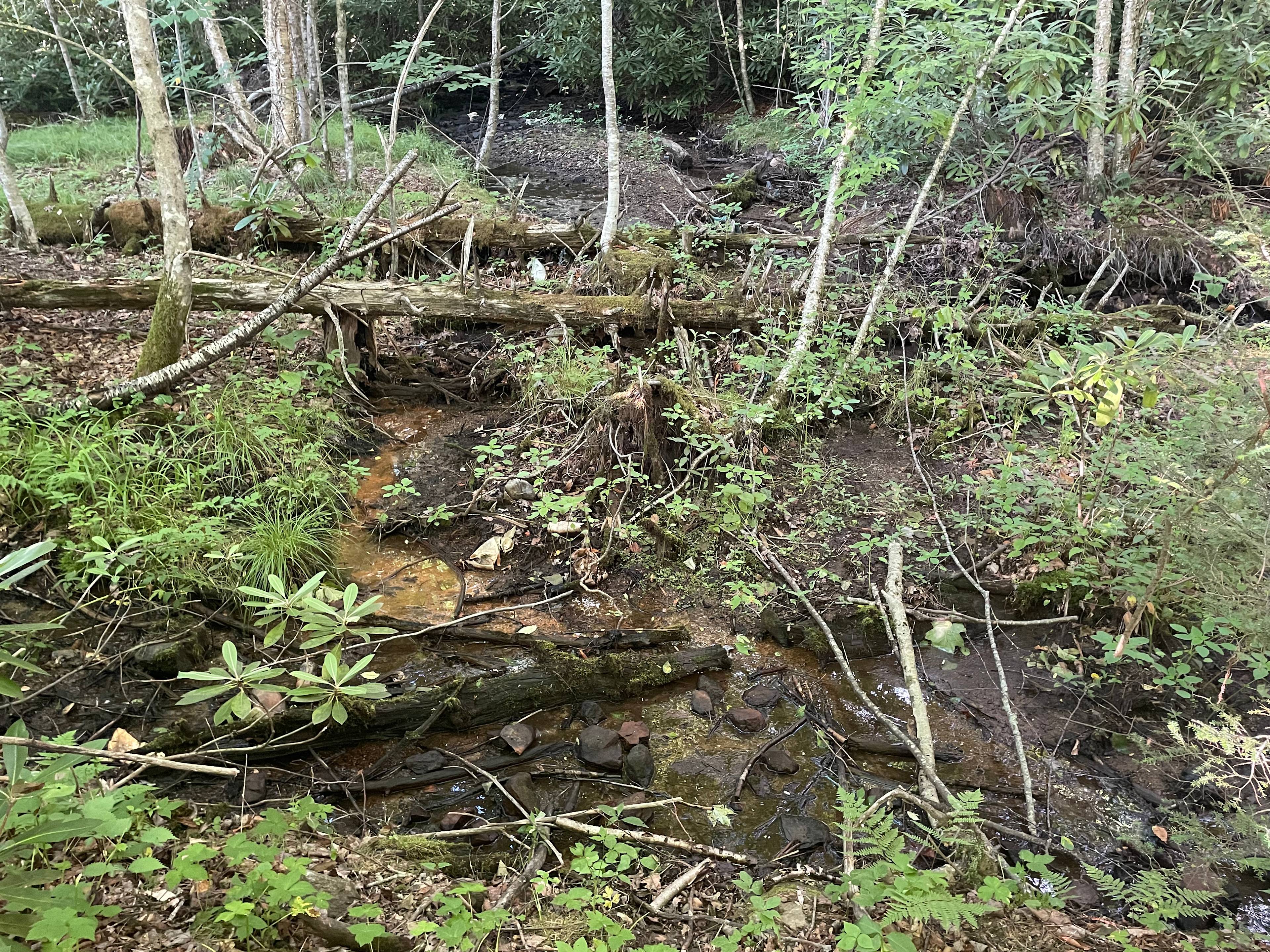 Creek