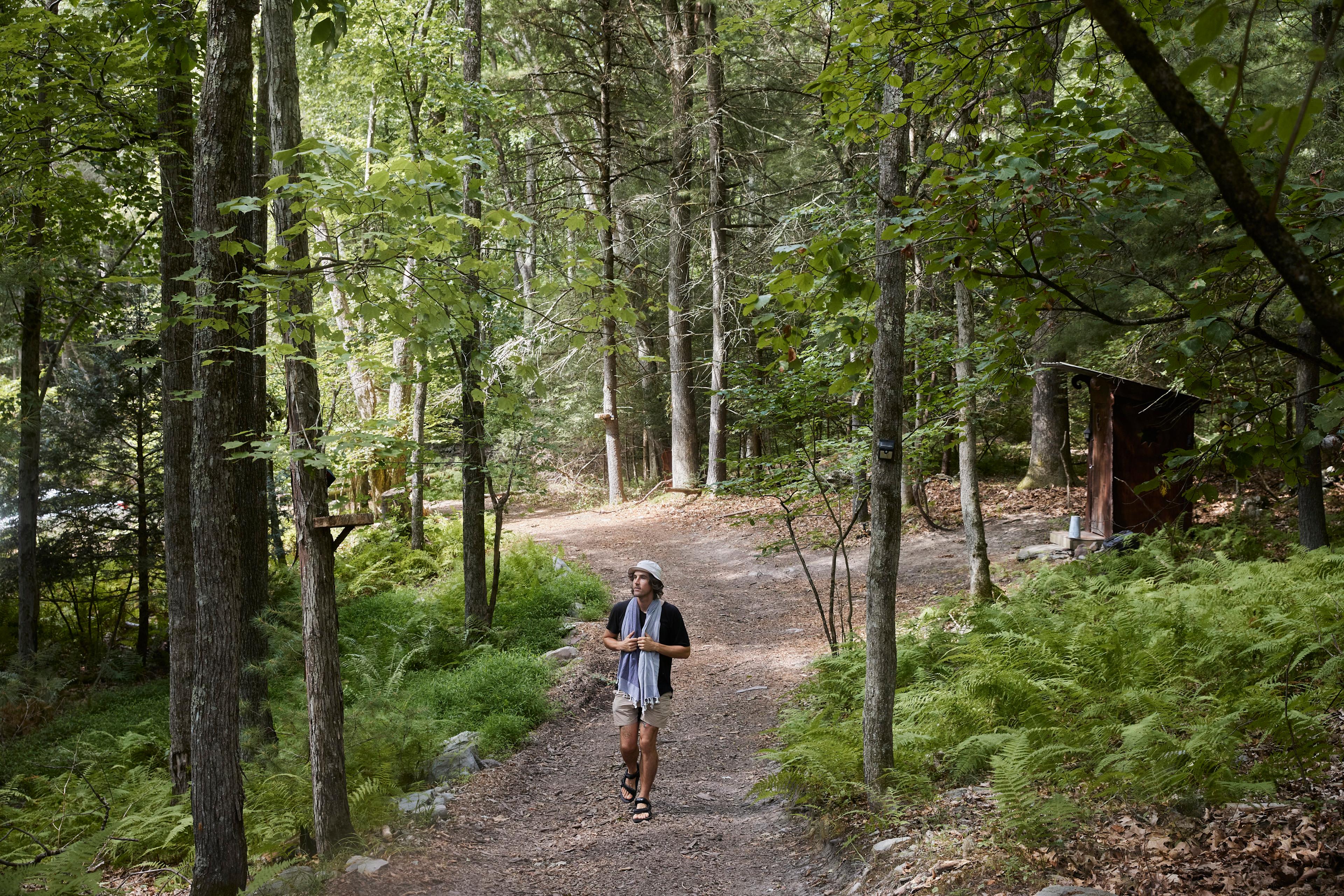 A stroll through the woods