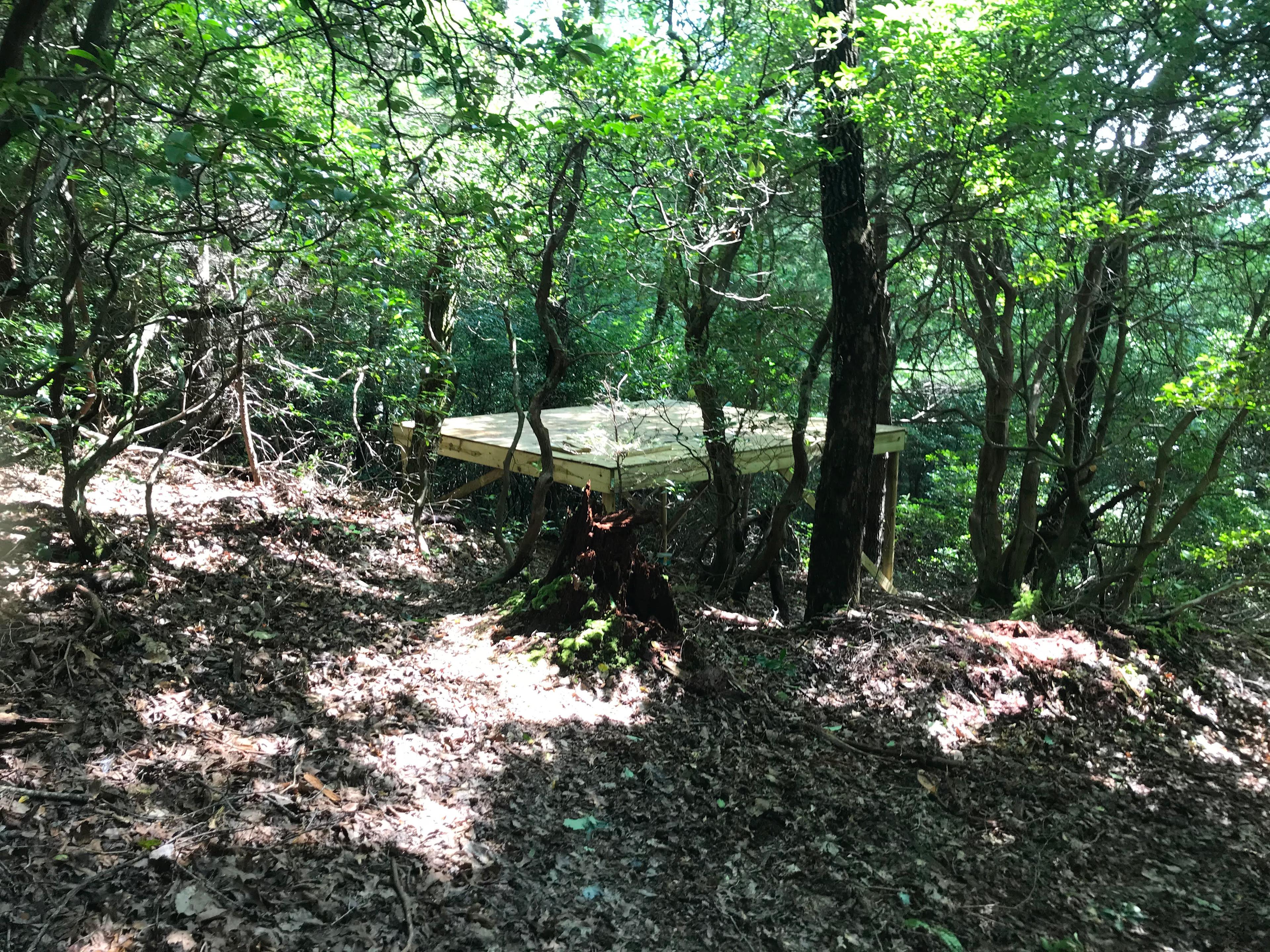 Quiet mt. camp near st. park