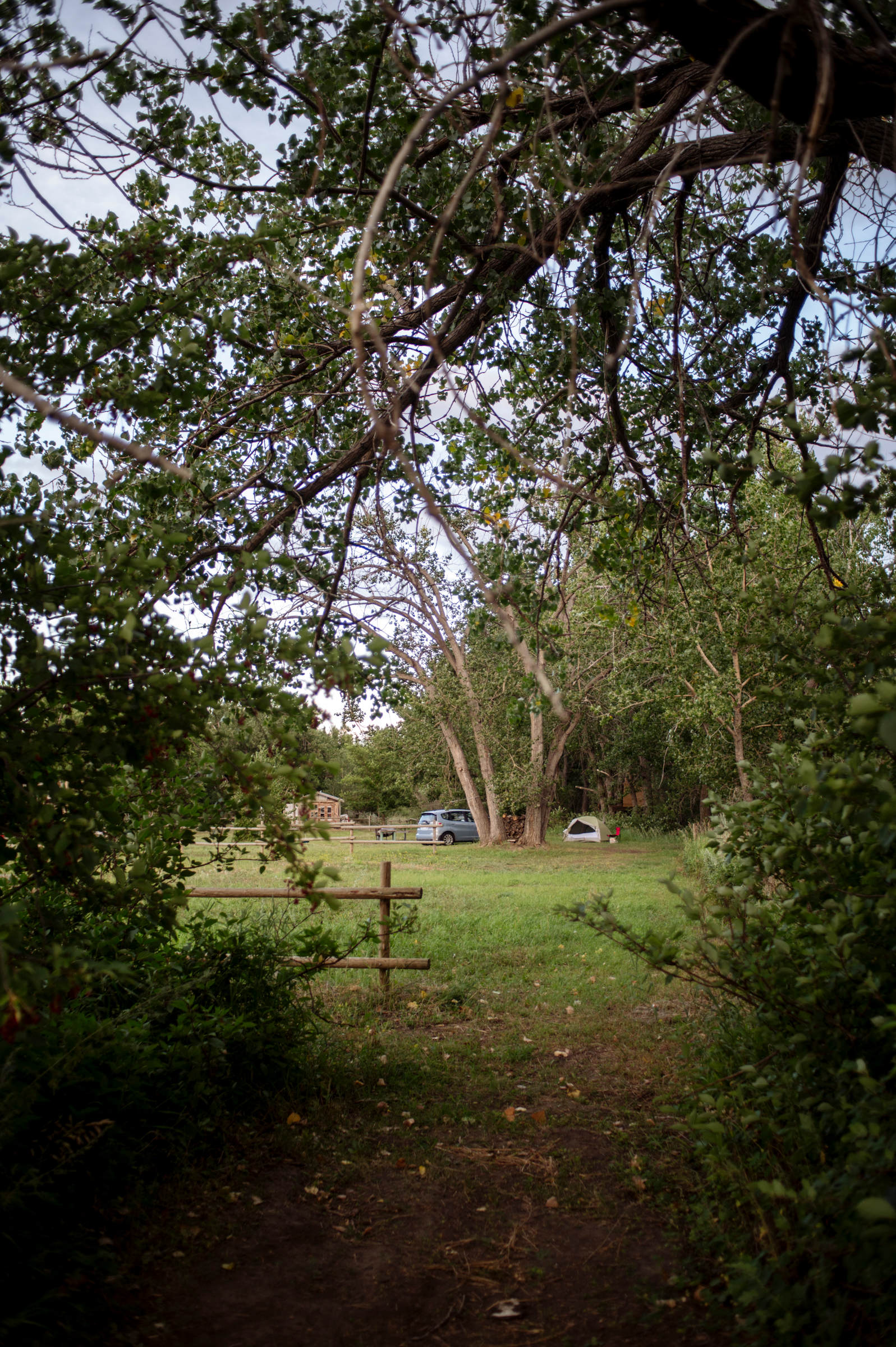 Looking at the campsite from the nearby field and walking trail.