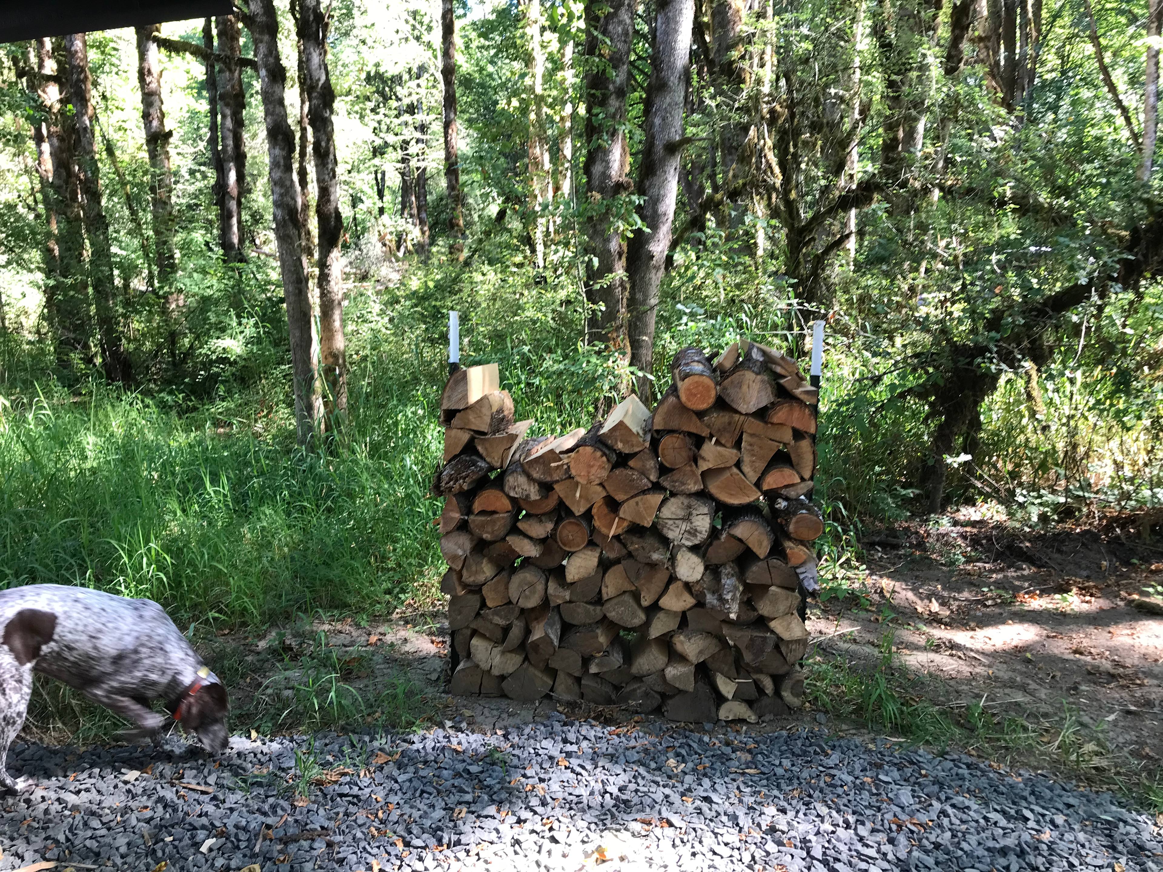 Firewood 