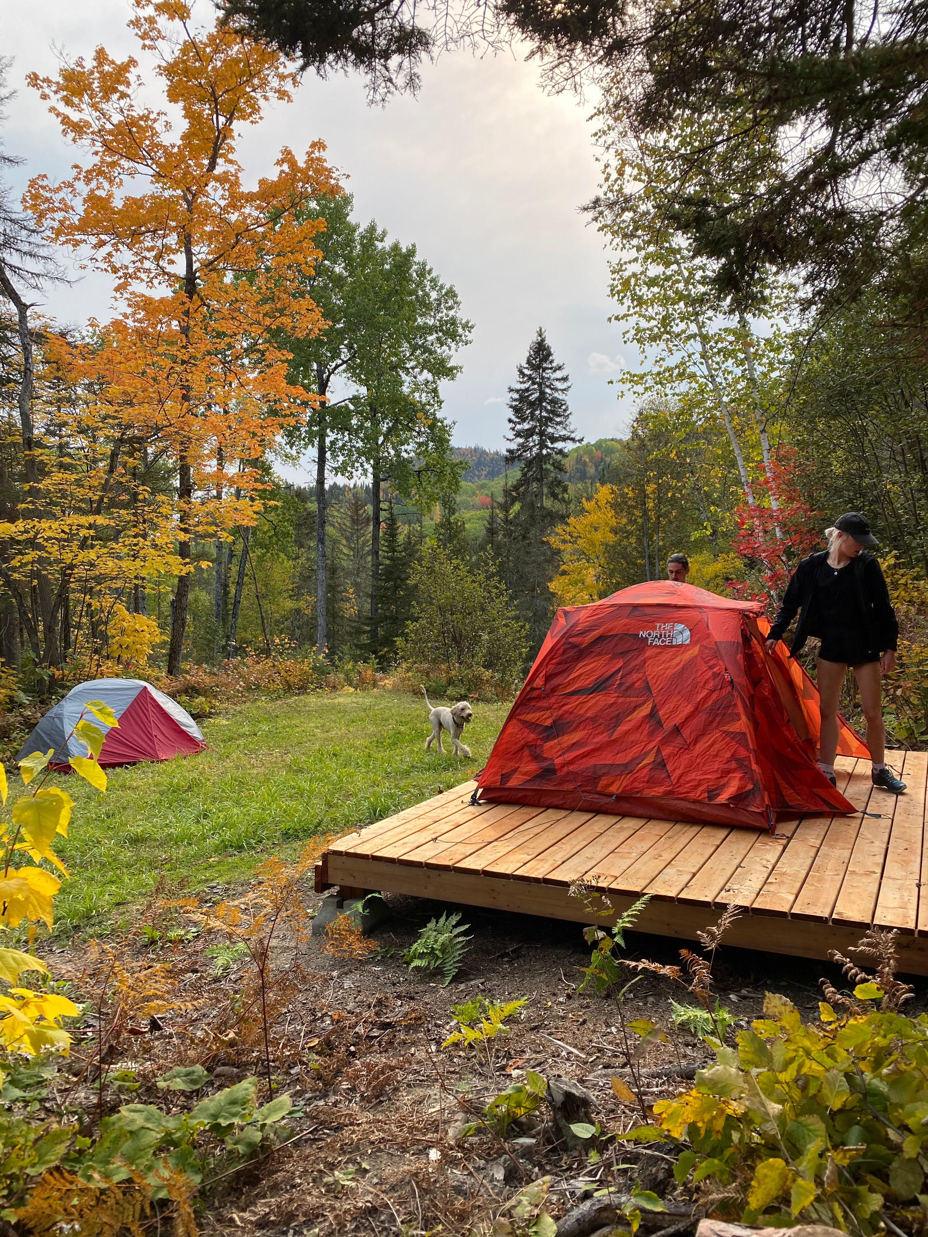 Chapella Camp
