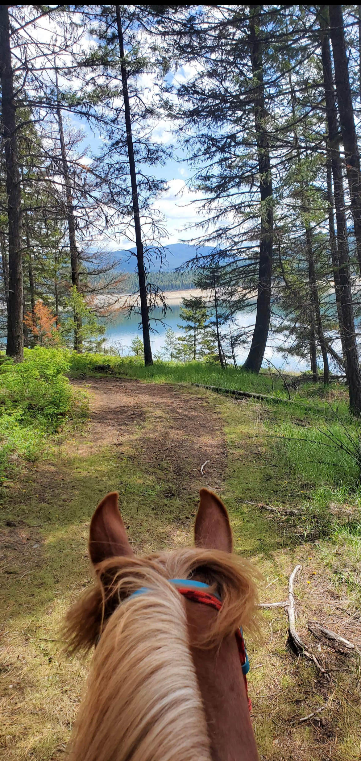 BnR Horse Ranch