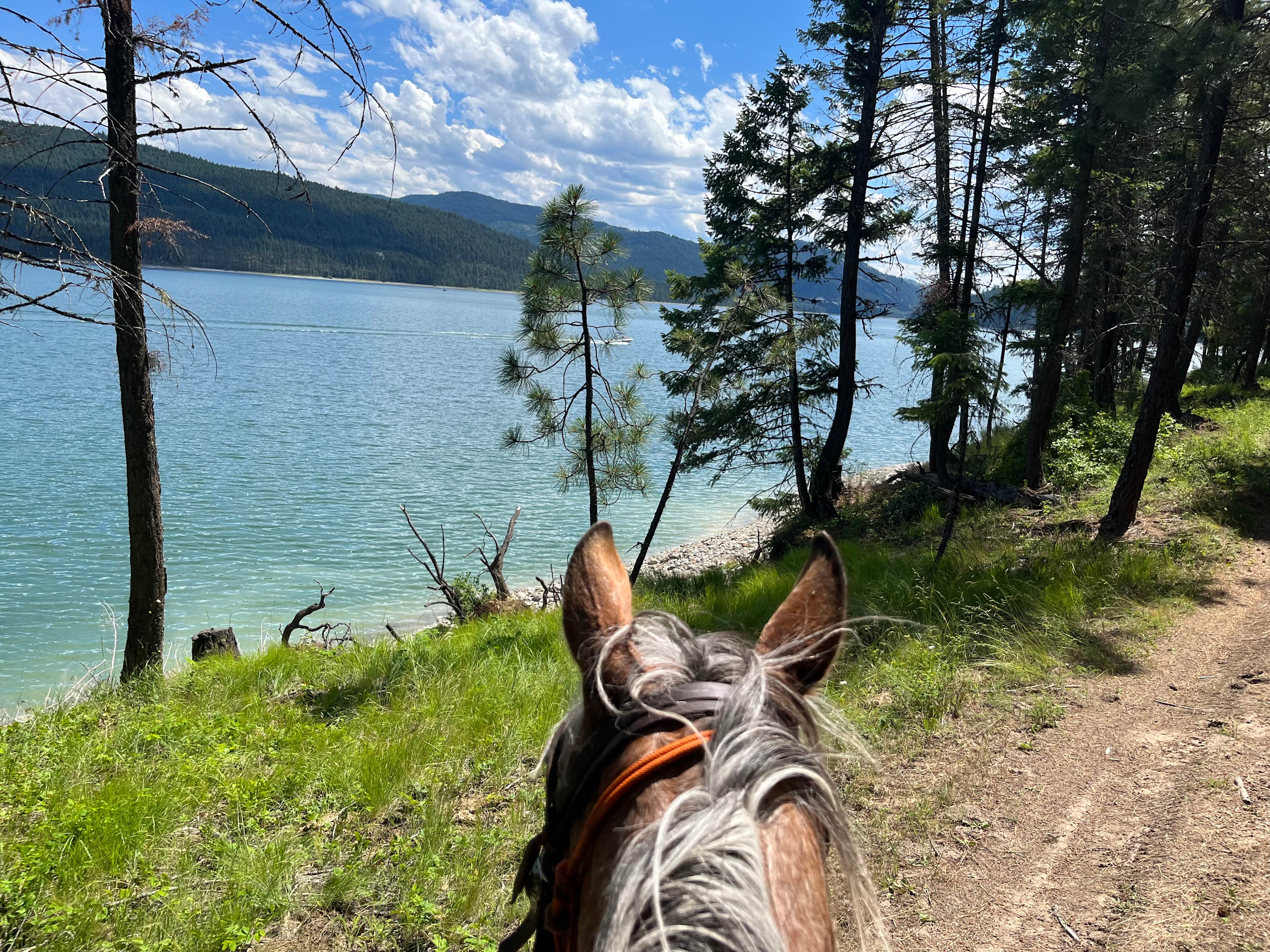 BnR Horse Ranch