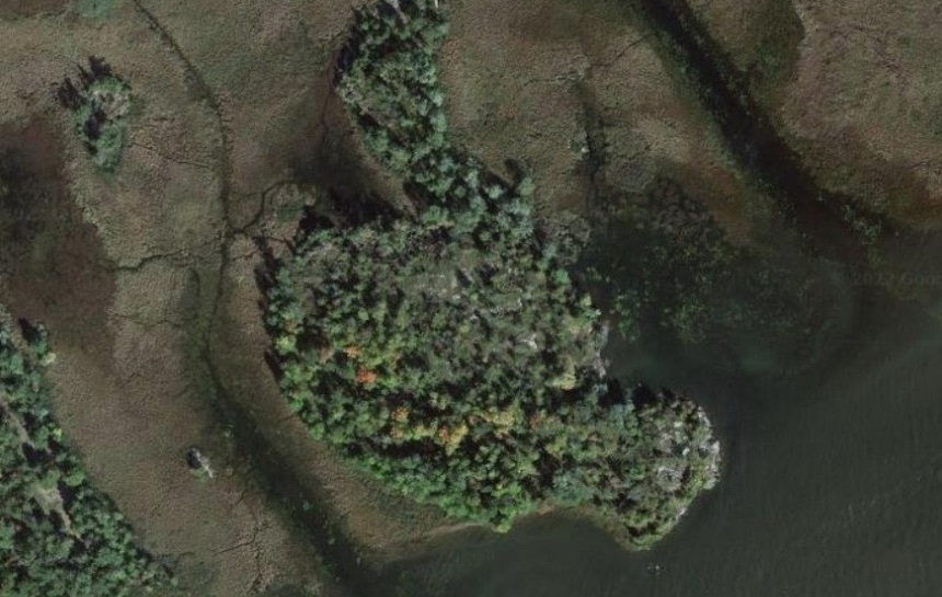 Nepenthe Island