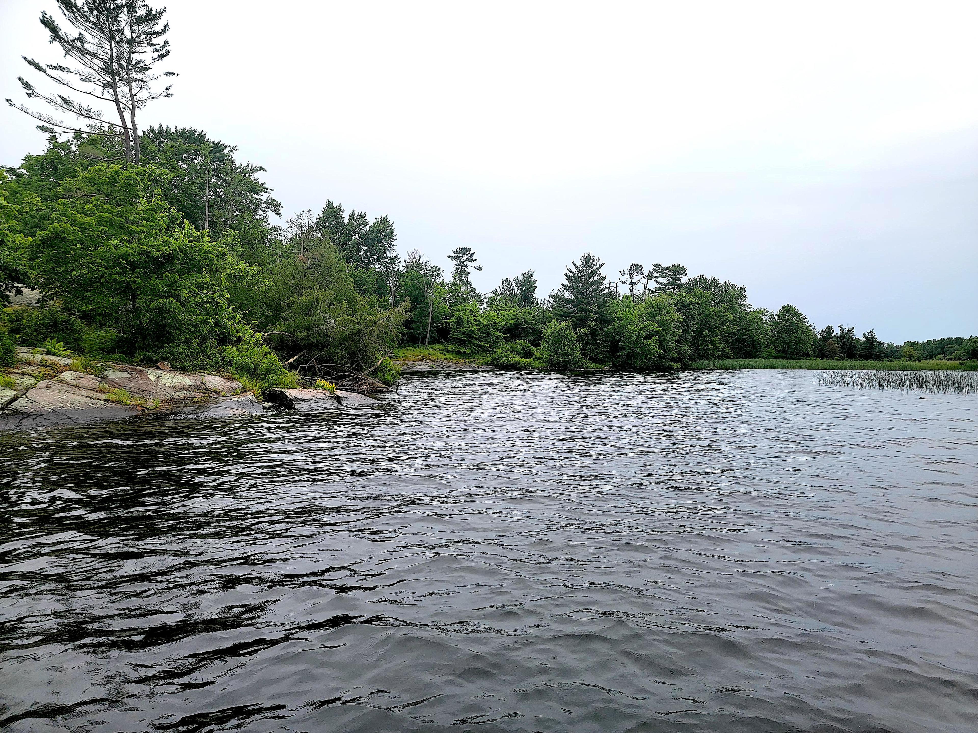 Nepenthe Island