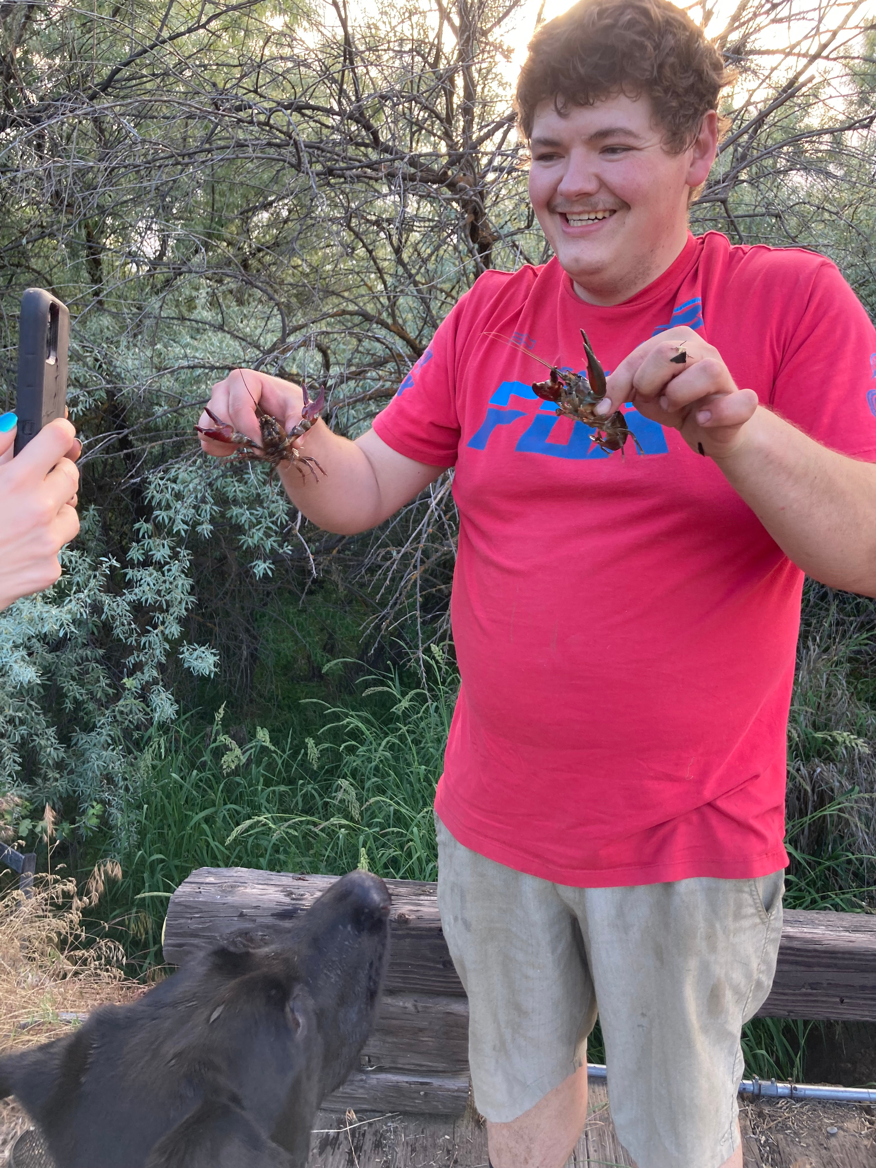 Crawdads from the creek, under the bridge.