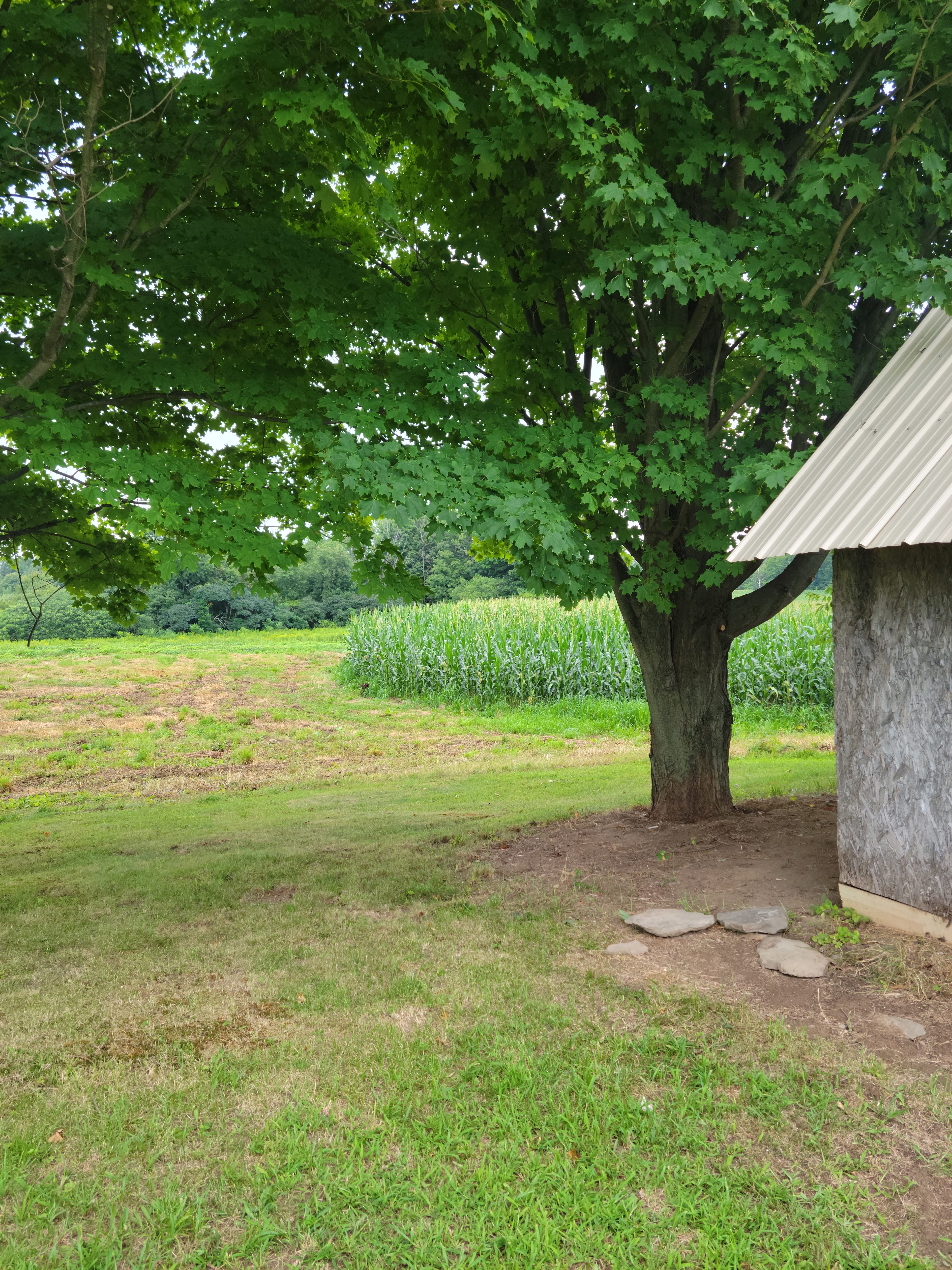 1566 Q.C.A Quiet Country Acres