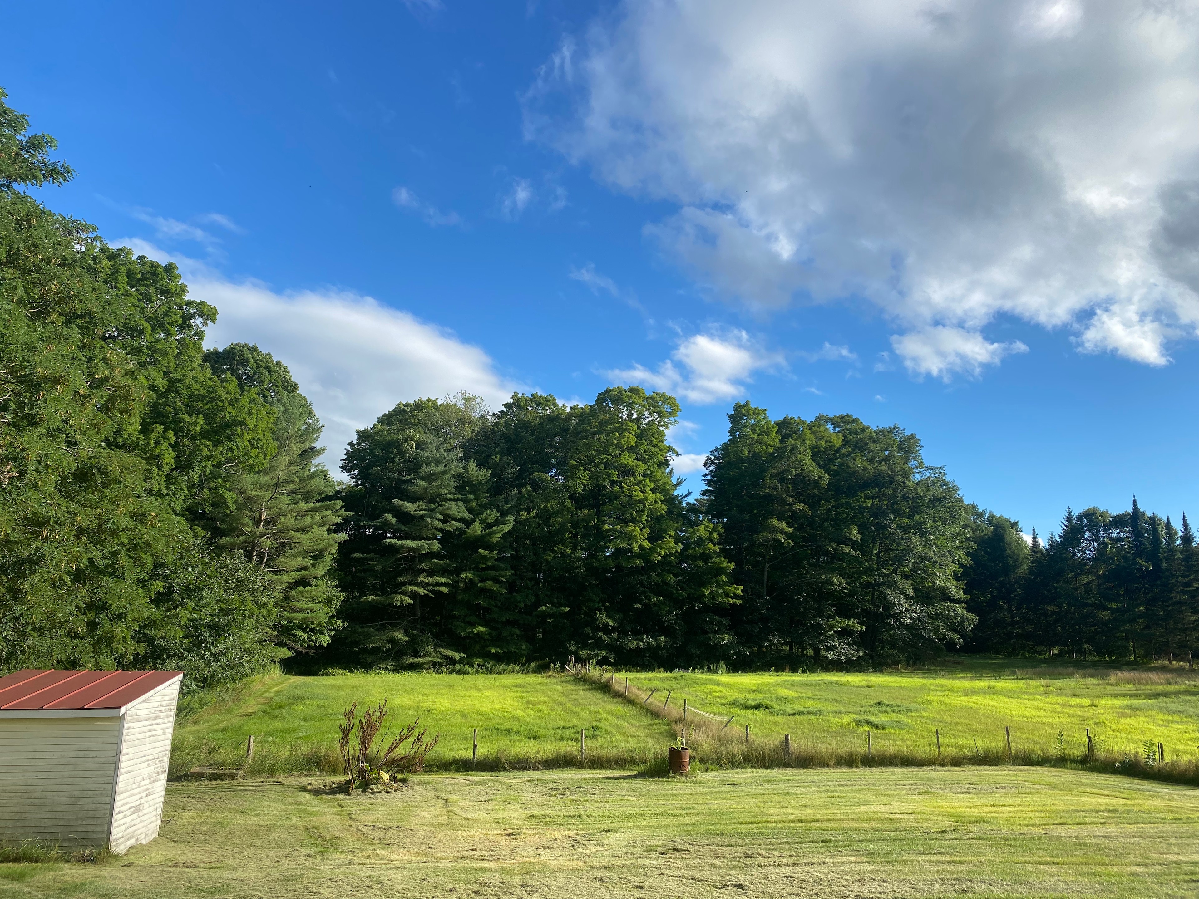 The Blackspur Farm