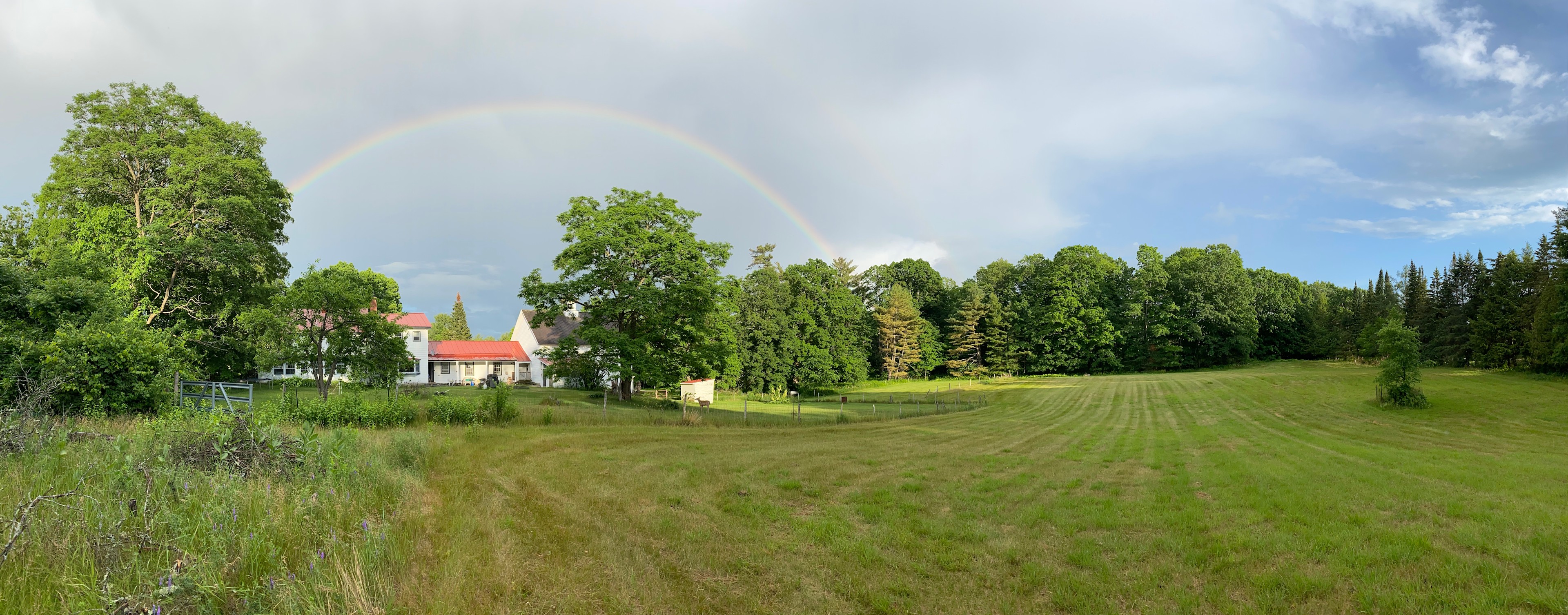 The Blackspur Farm