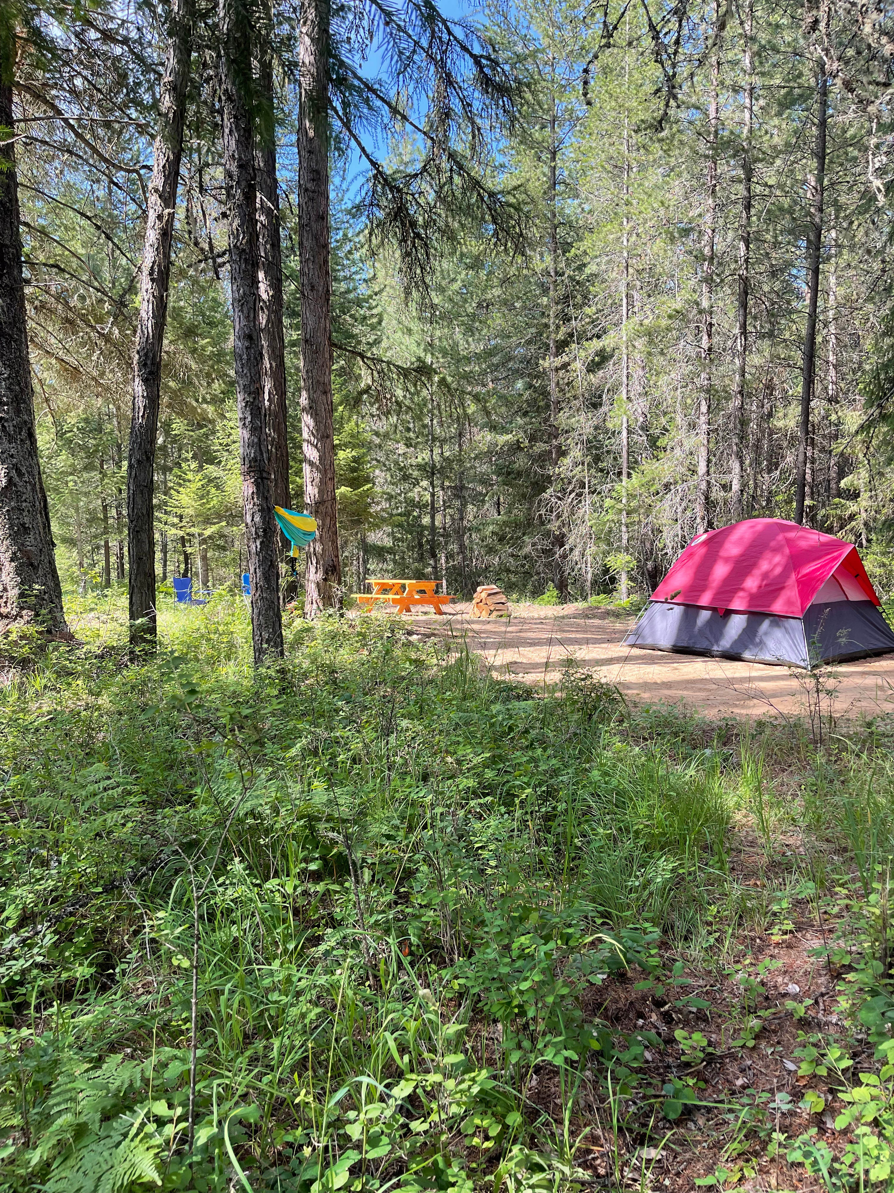 The Woods in Sagle