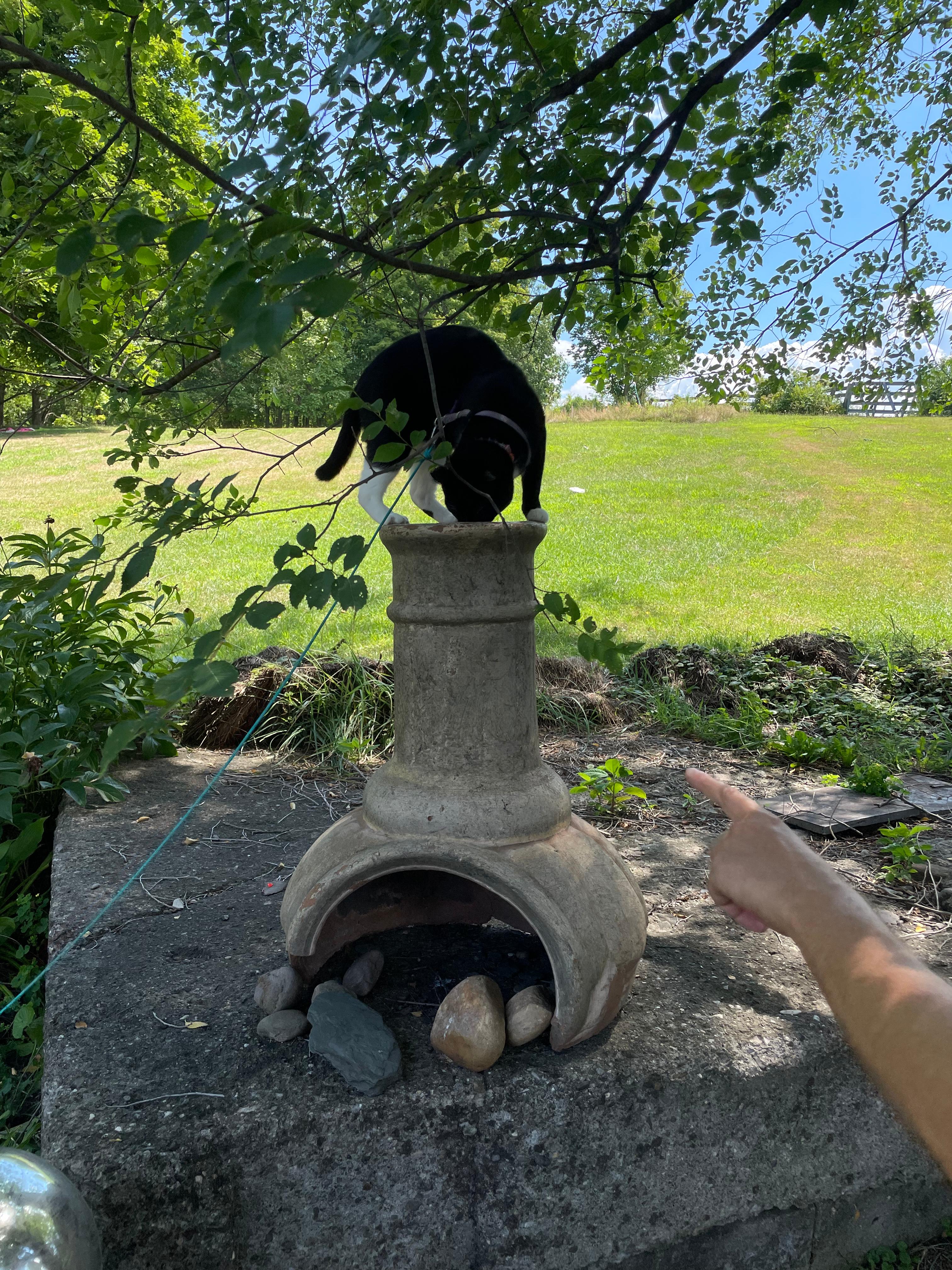 Dharma Bums Eco Lodge