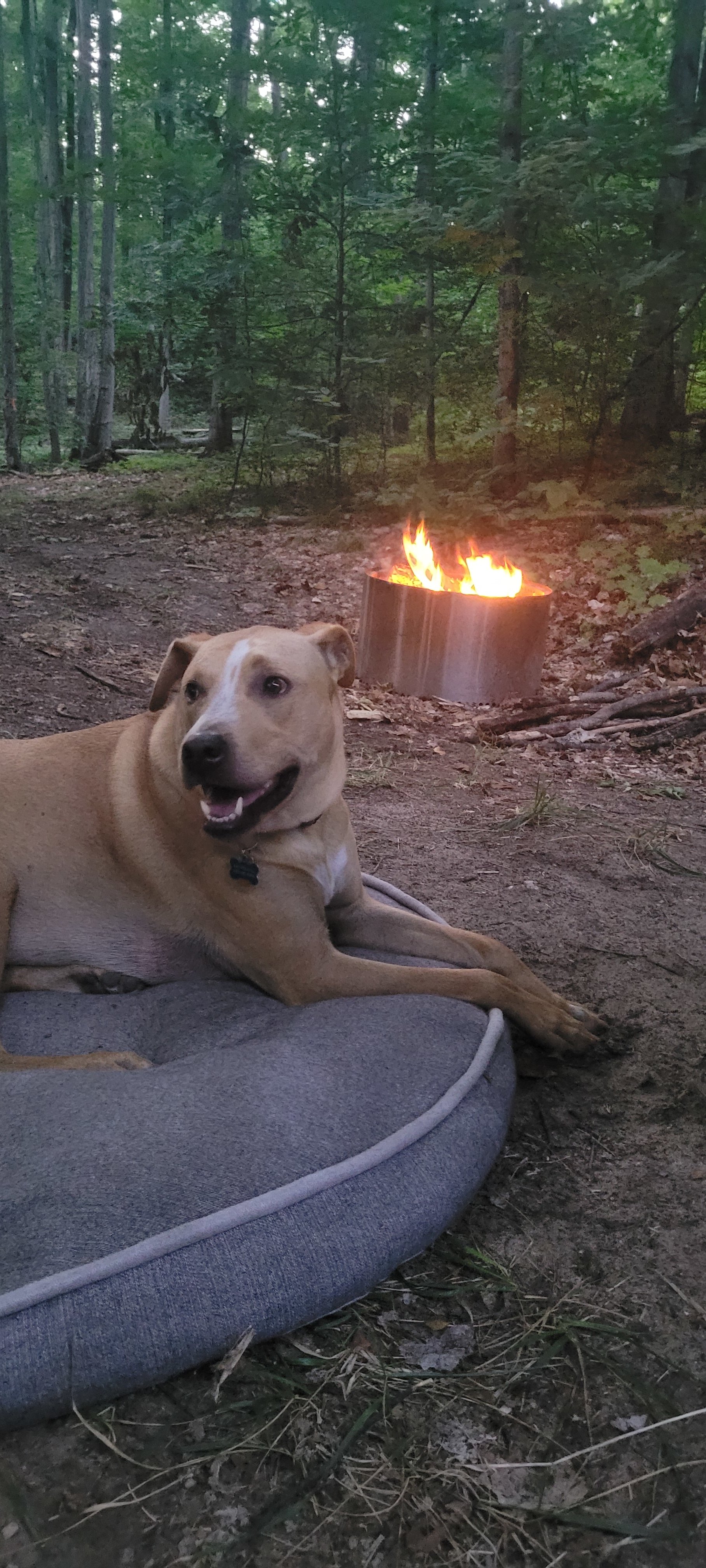 Private 5 Ac Wooded Rustic Campsite