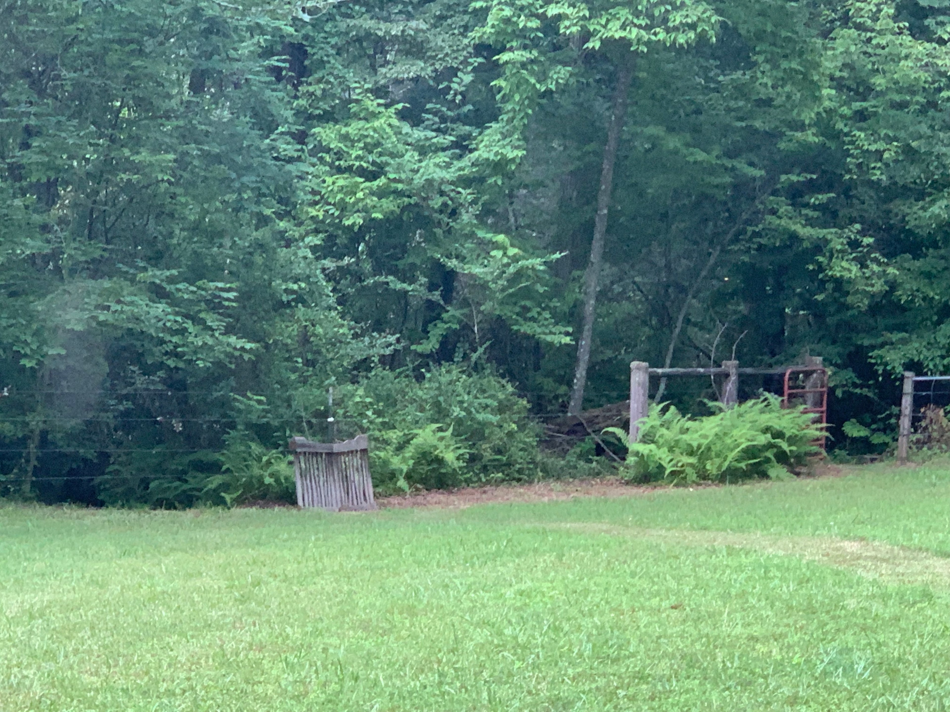 Access to South Mills River in the Upper Meadow.