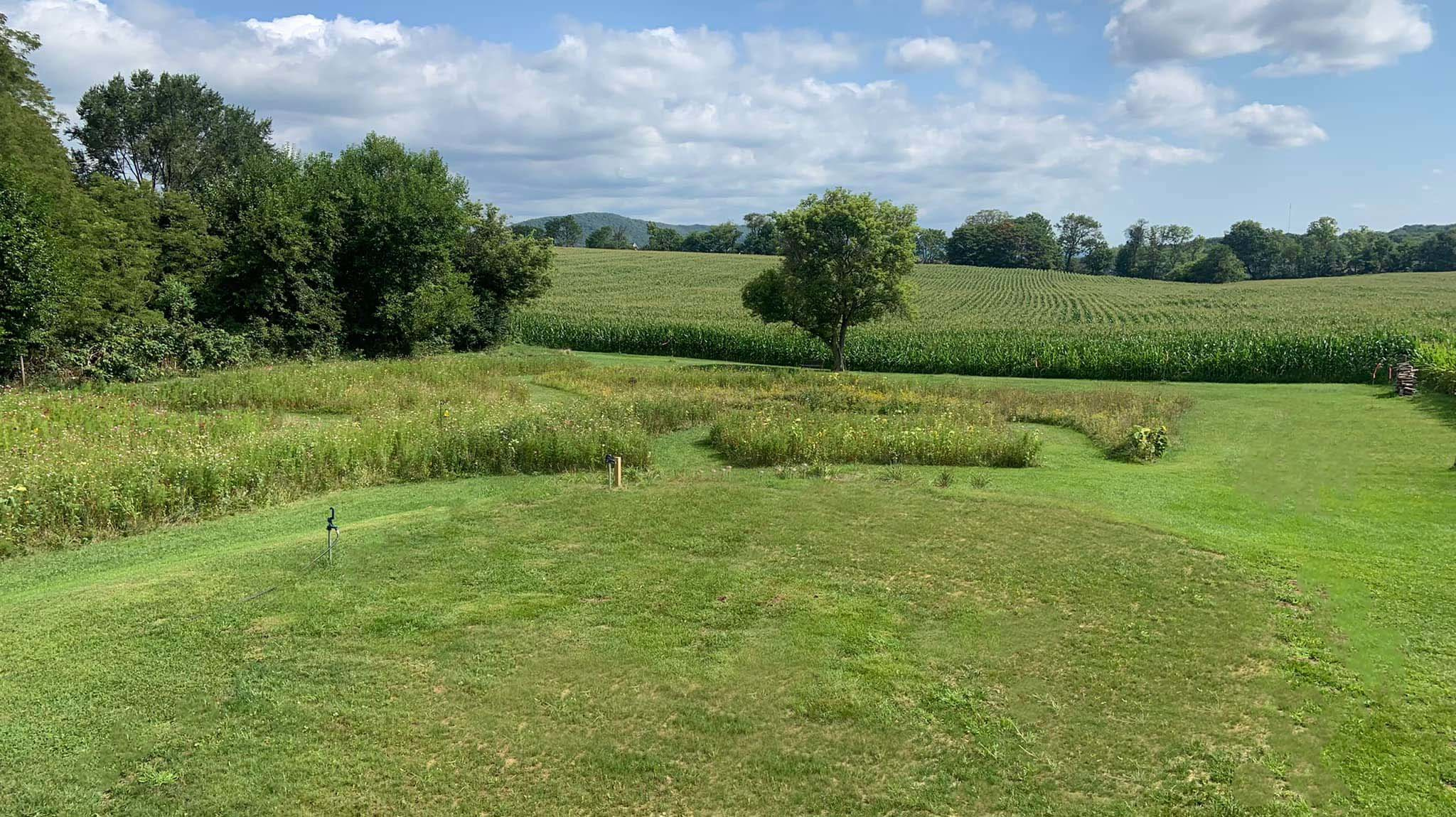 Meadow View Near PSU