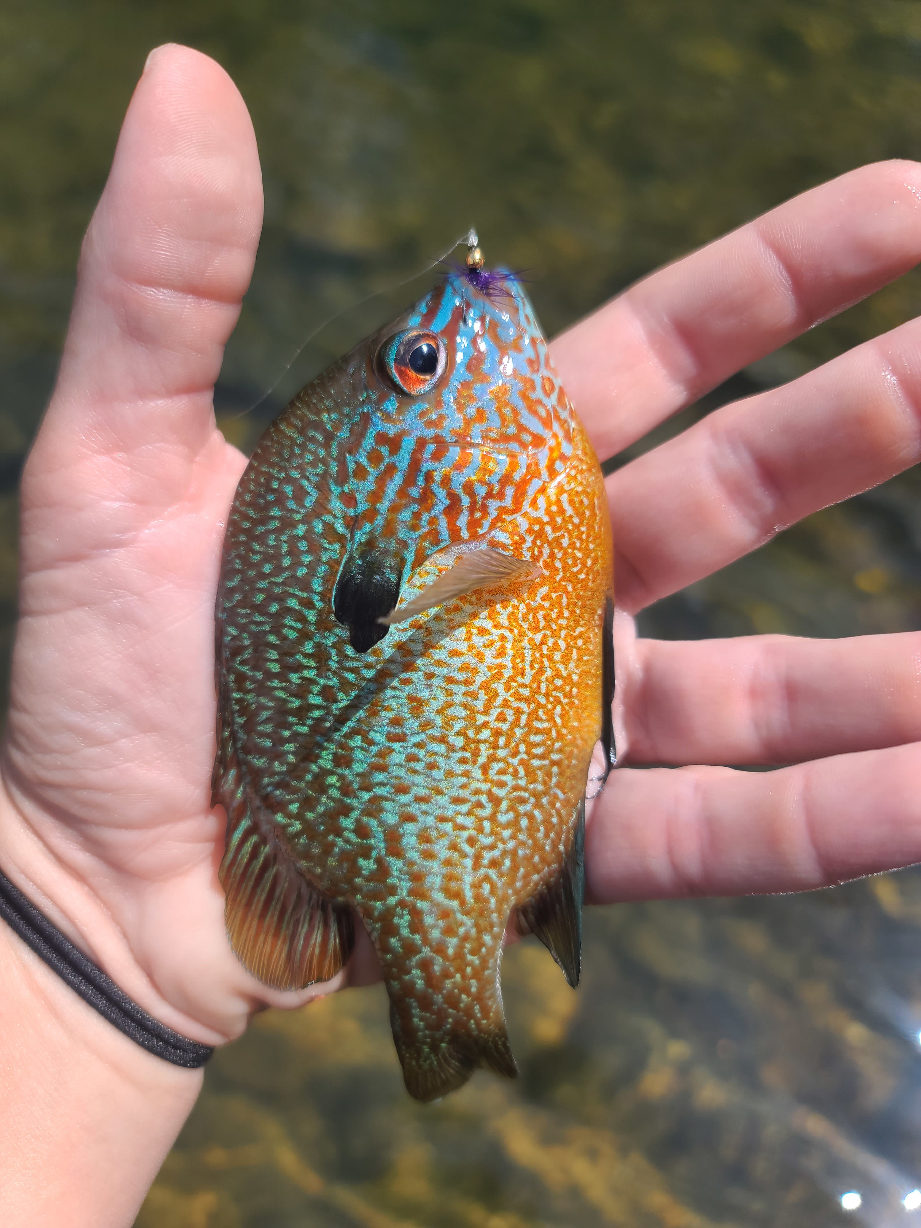 Thunder Mountain Private River Camp