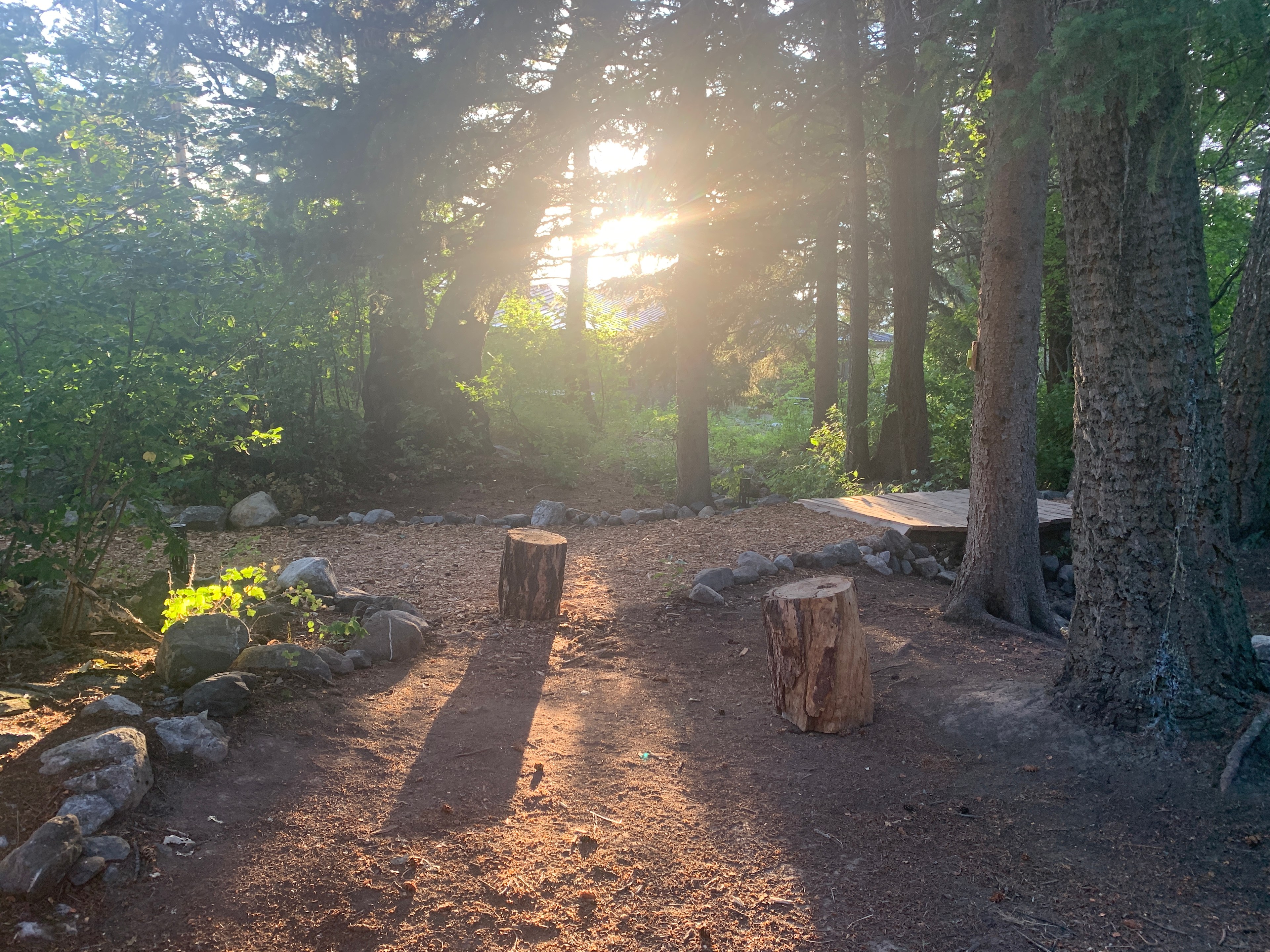 Jammin Jackalope Camping