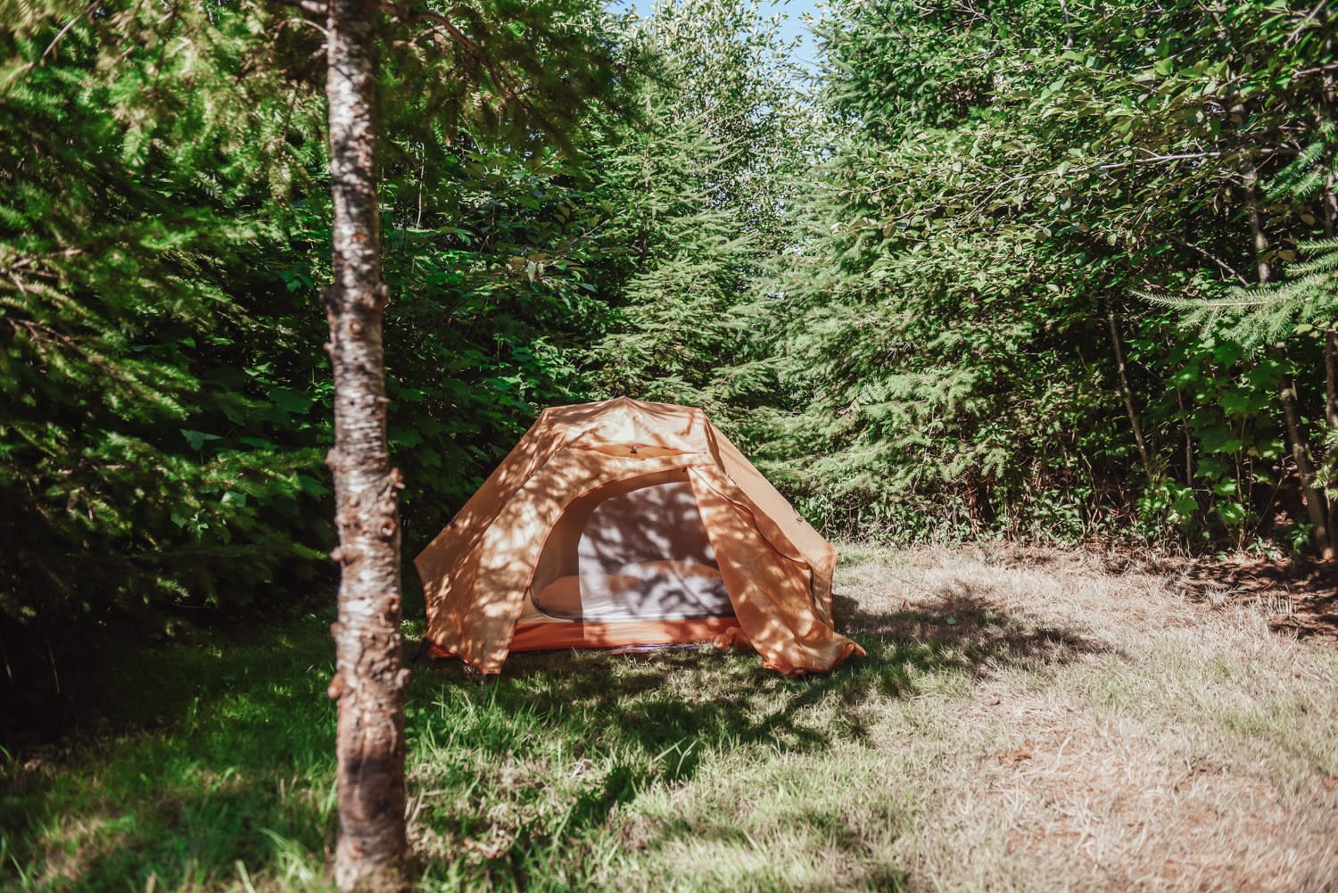 Misty Willow’s Farm and Camp