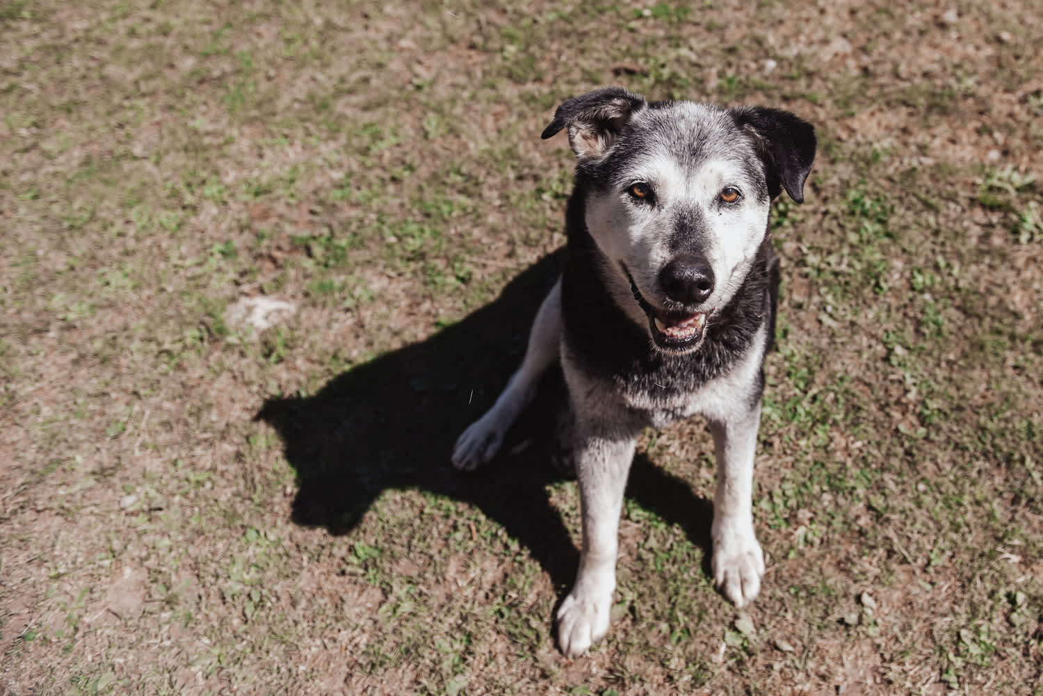 Misty Willow’s Farm and Camp