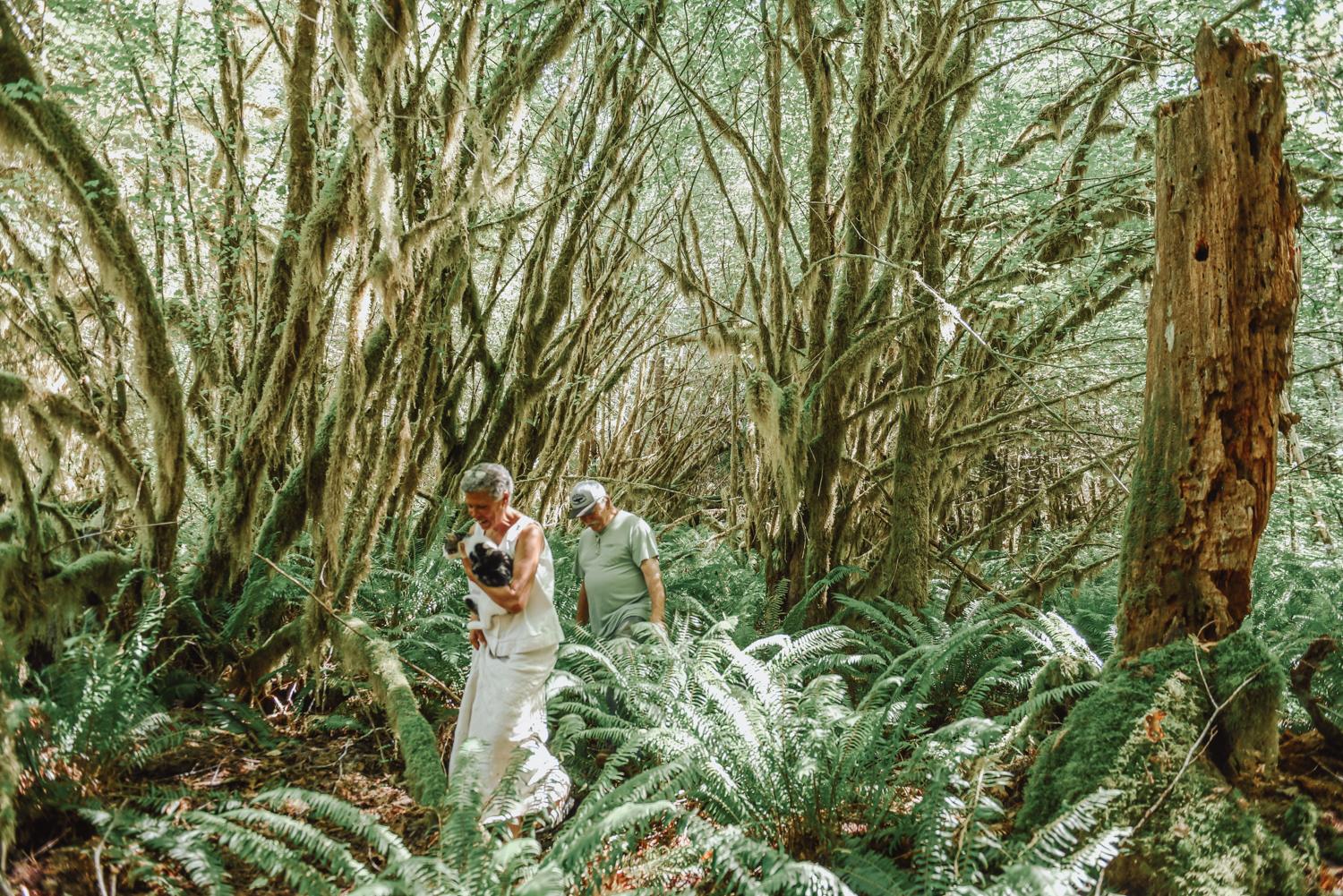 Misty Willow’s Farm and Camp