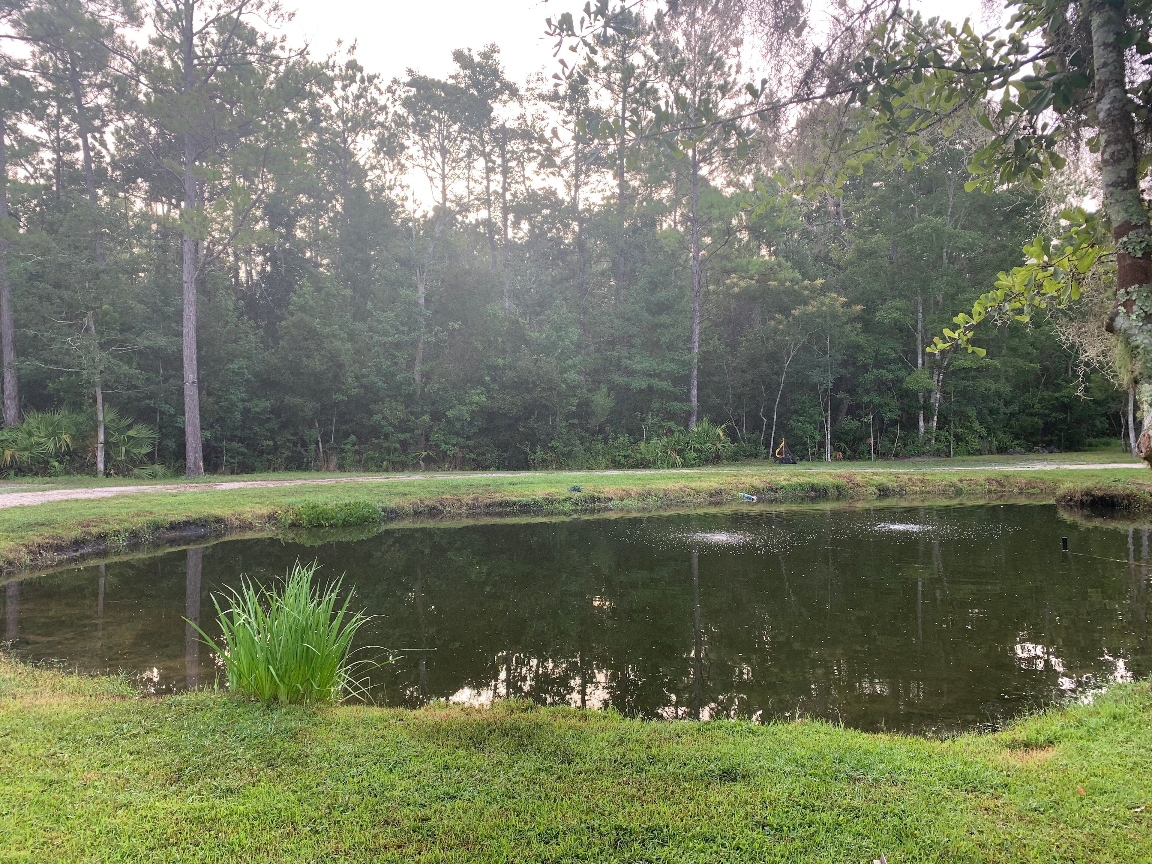 The pond on the property