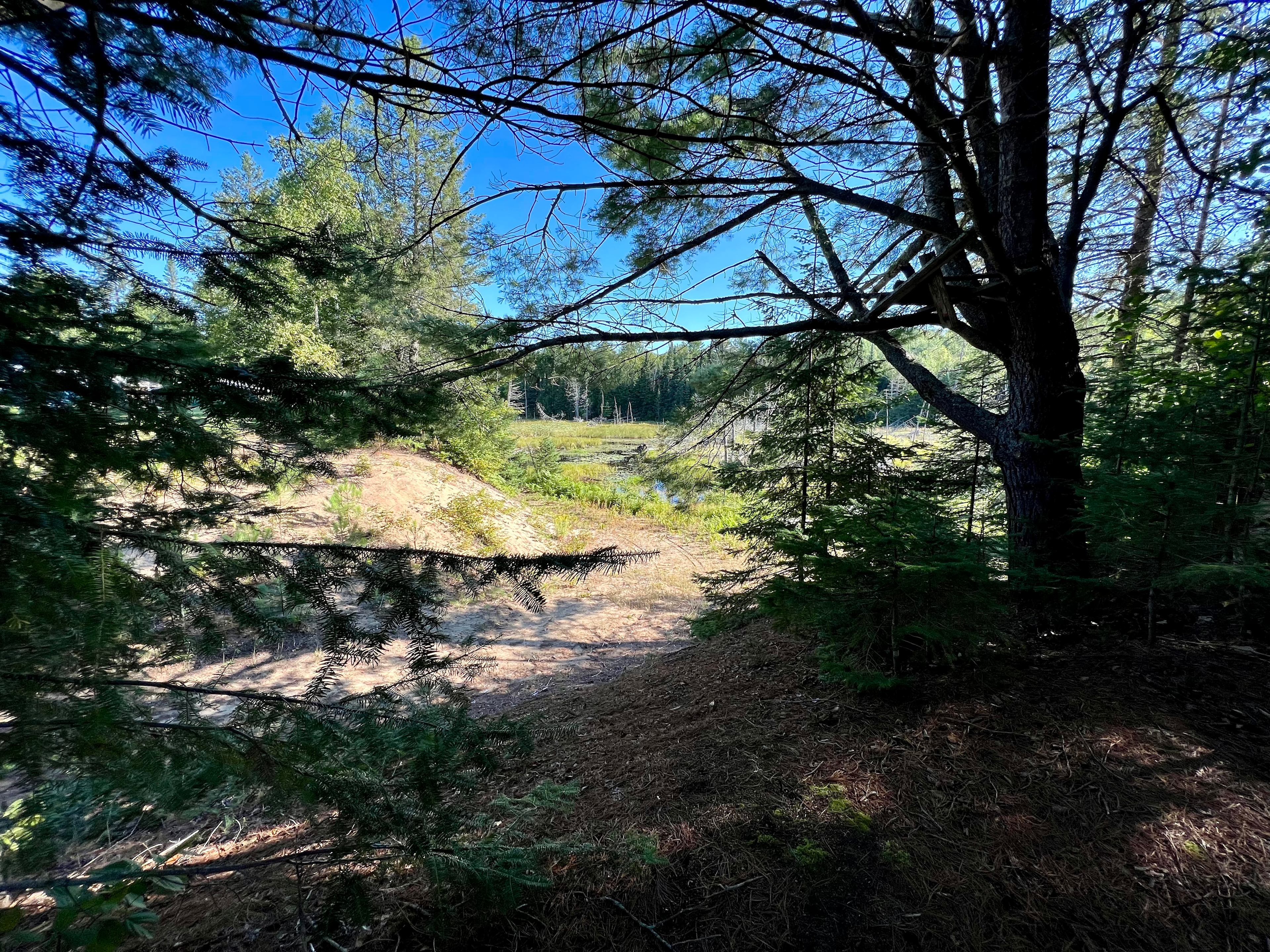 At Home by L’amable Creek