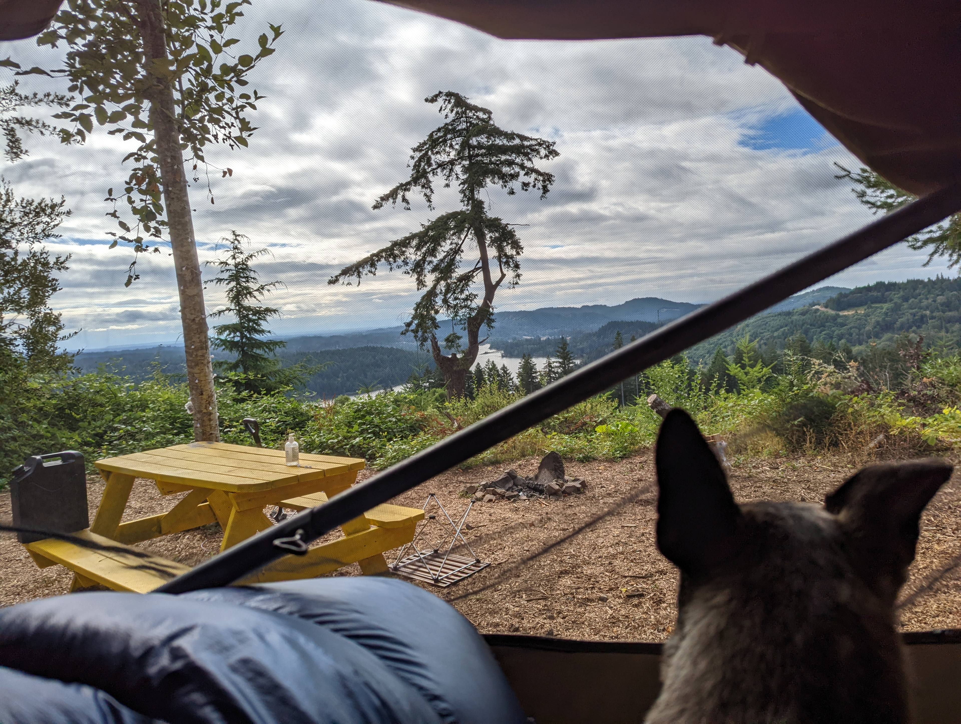 Hairy Eagle Lookout 🦅
