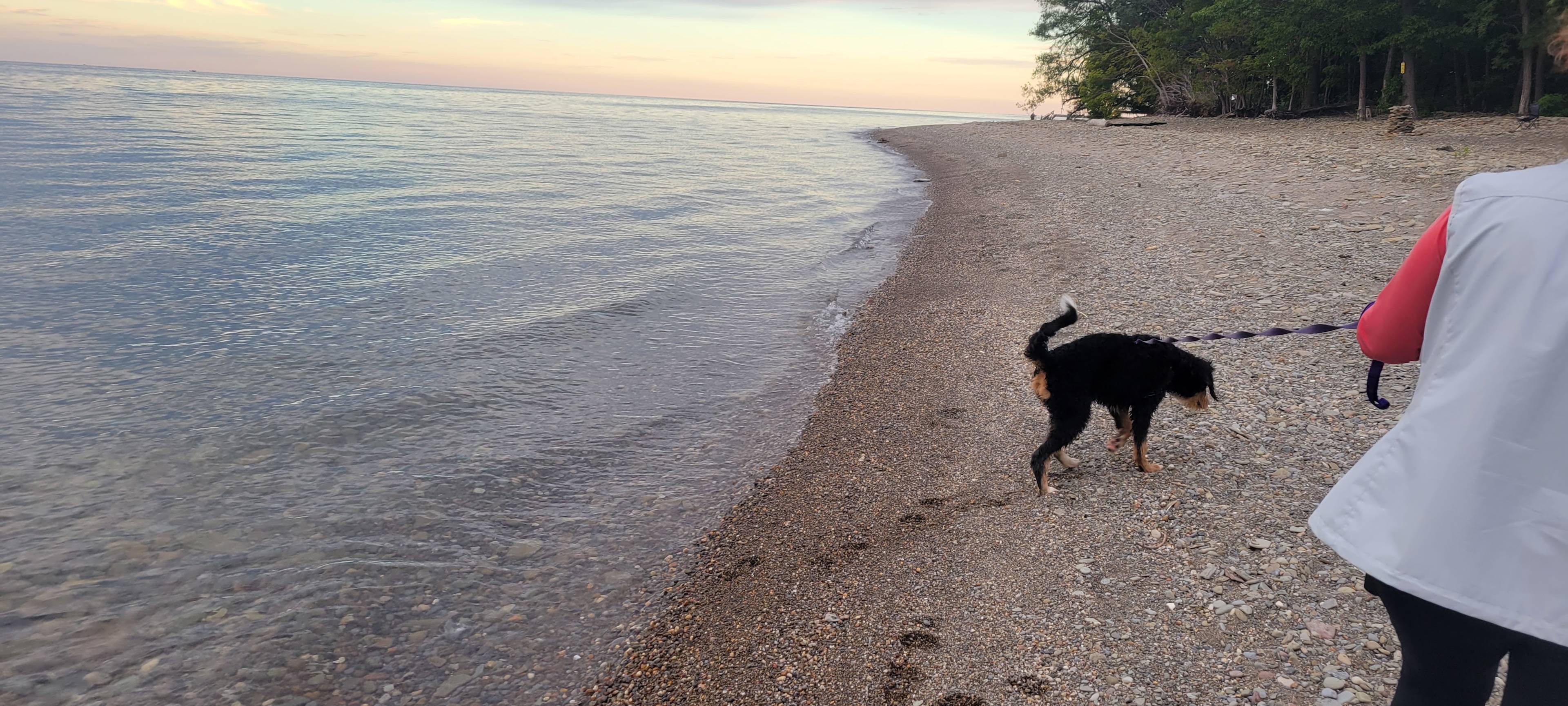 Steelhead Run Recreation Area