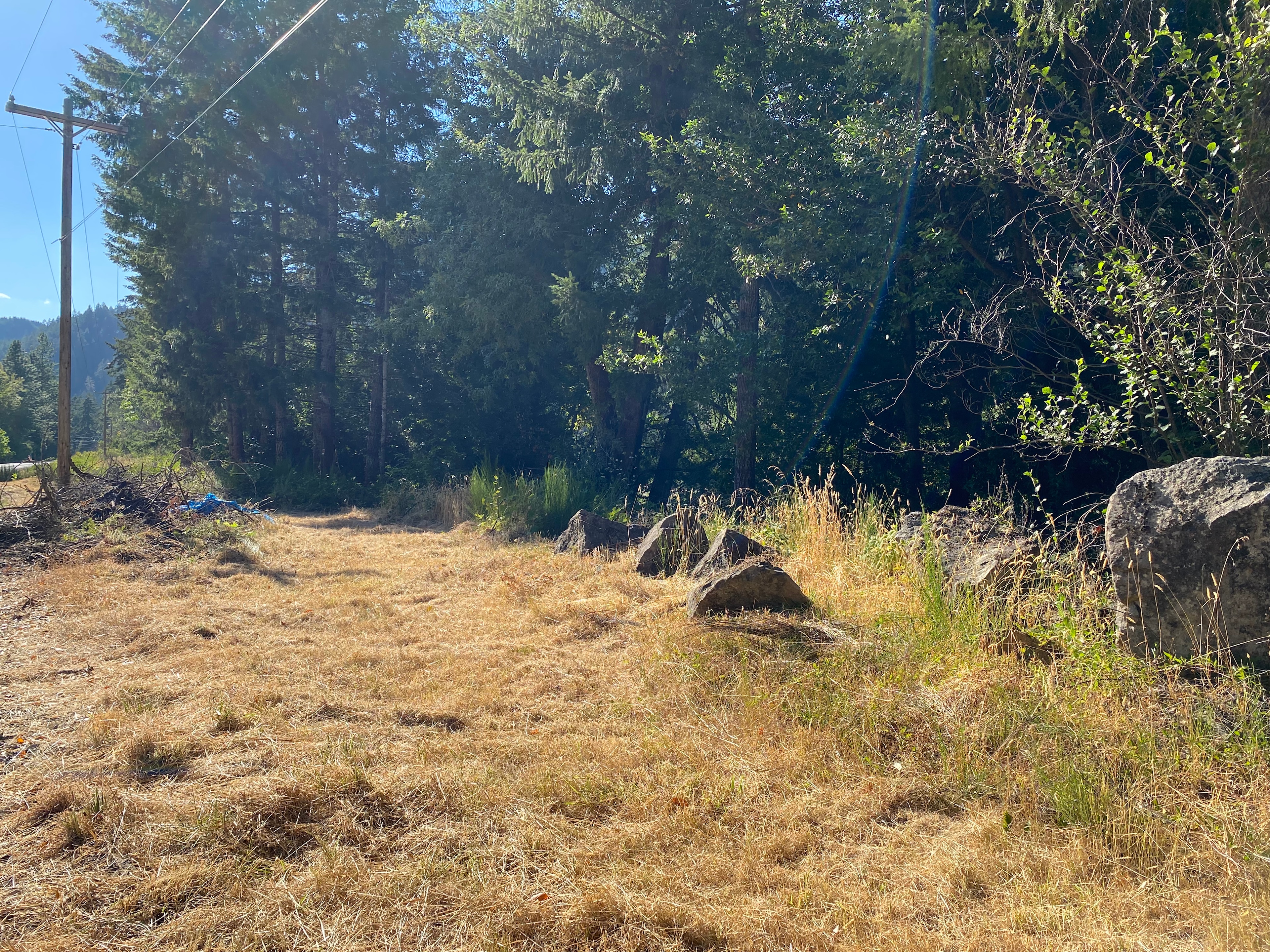 Looking from the road down the driveway (facing west)
