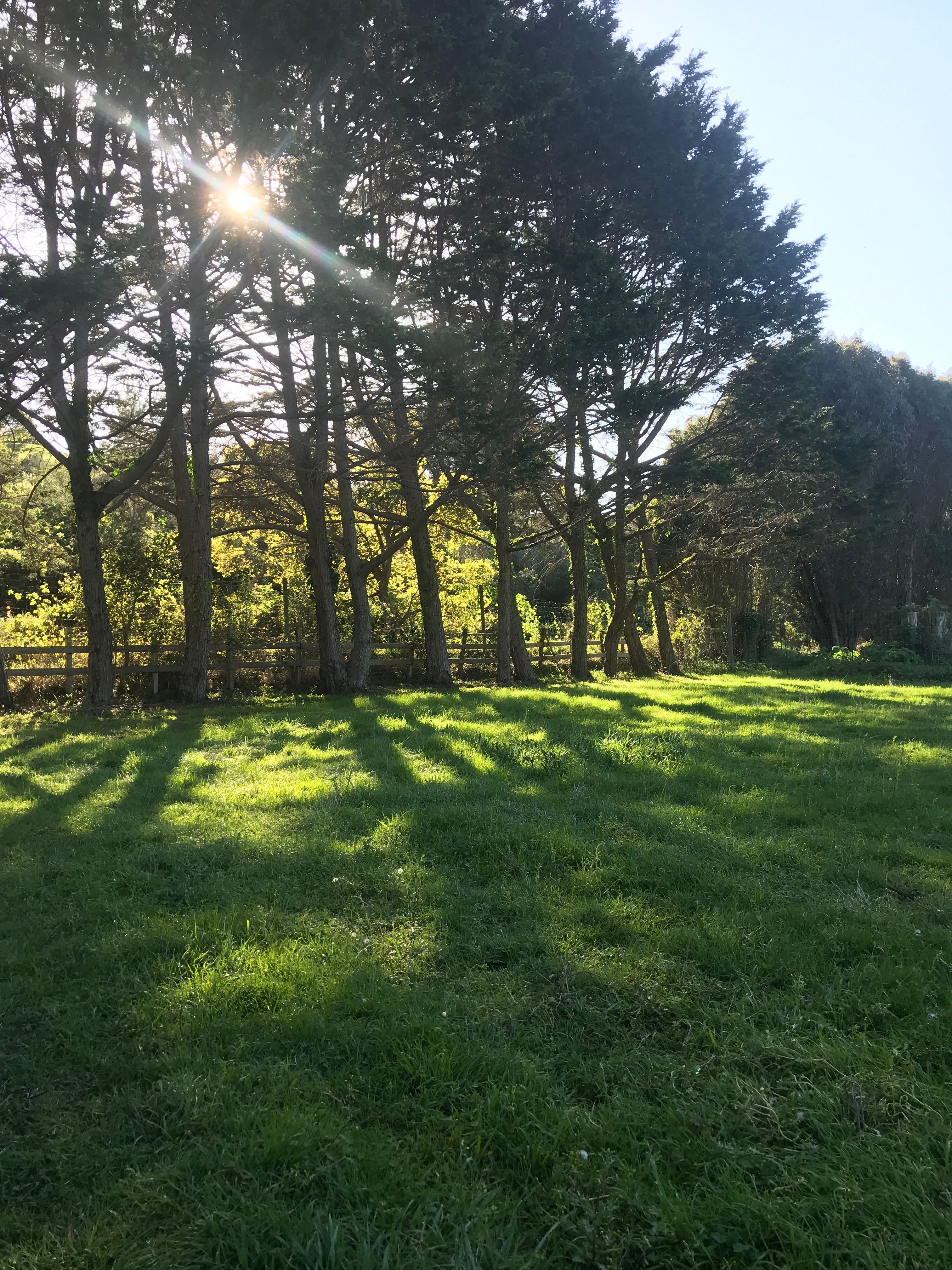 Cypress Pasture - pitch your tent. Early Spring