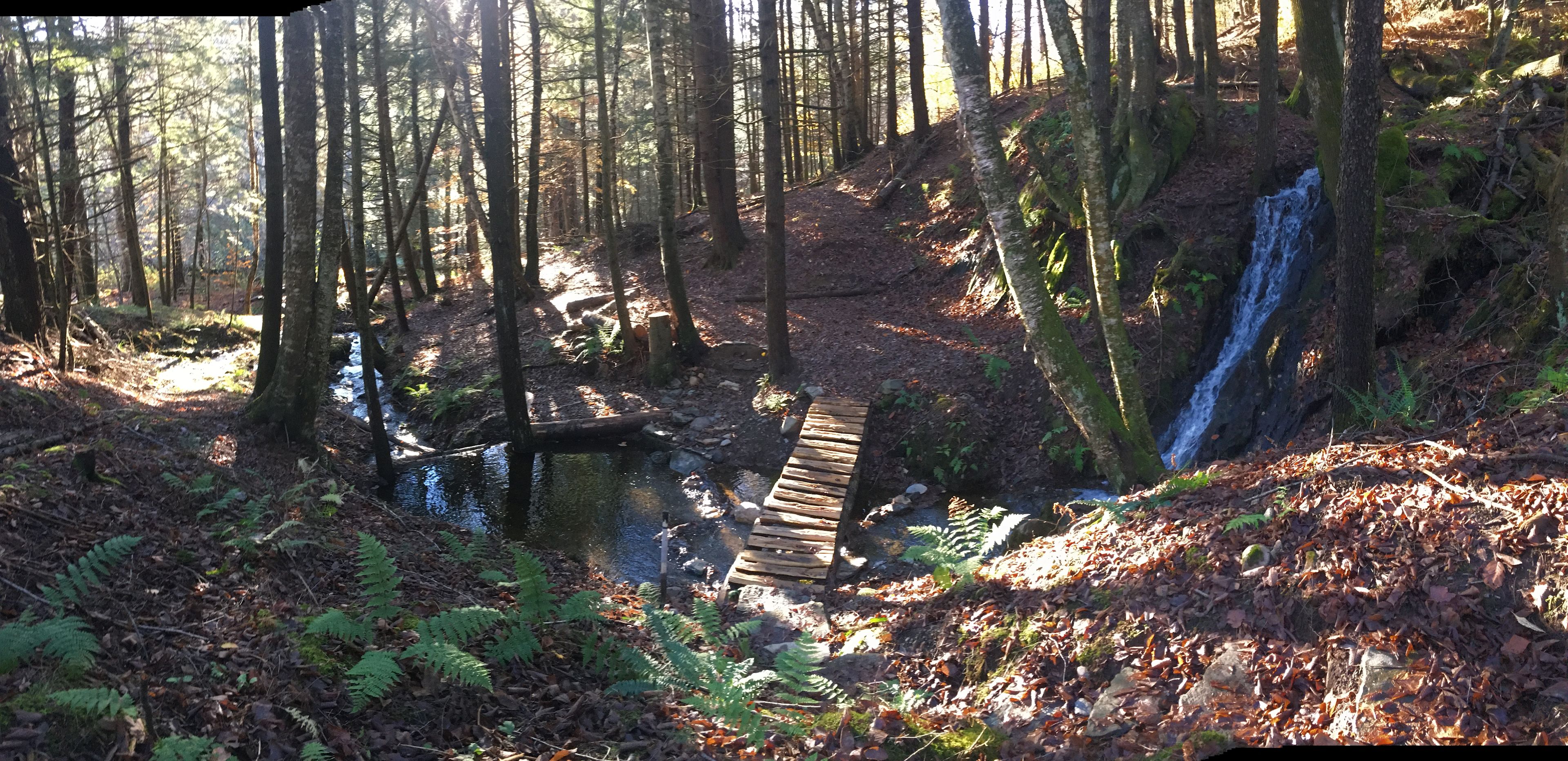 Lower Creek