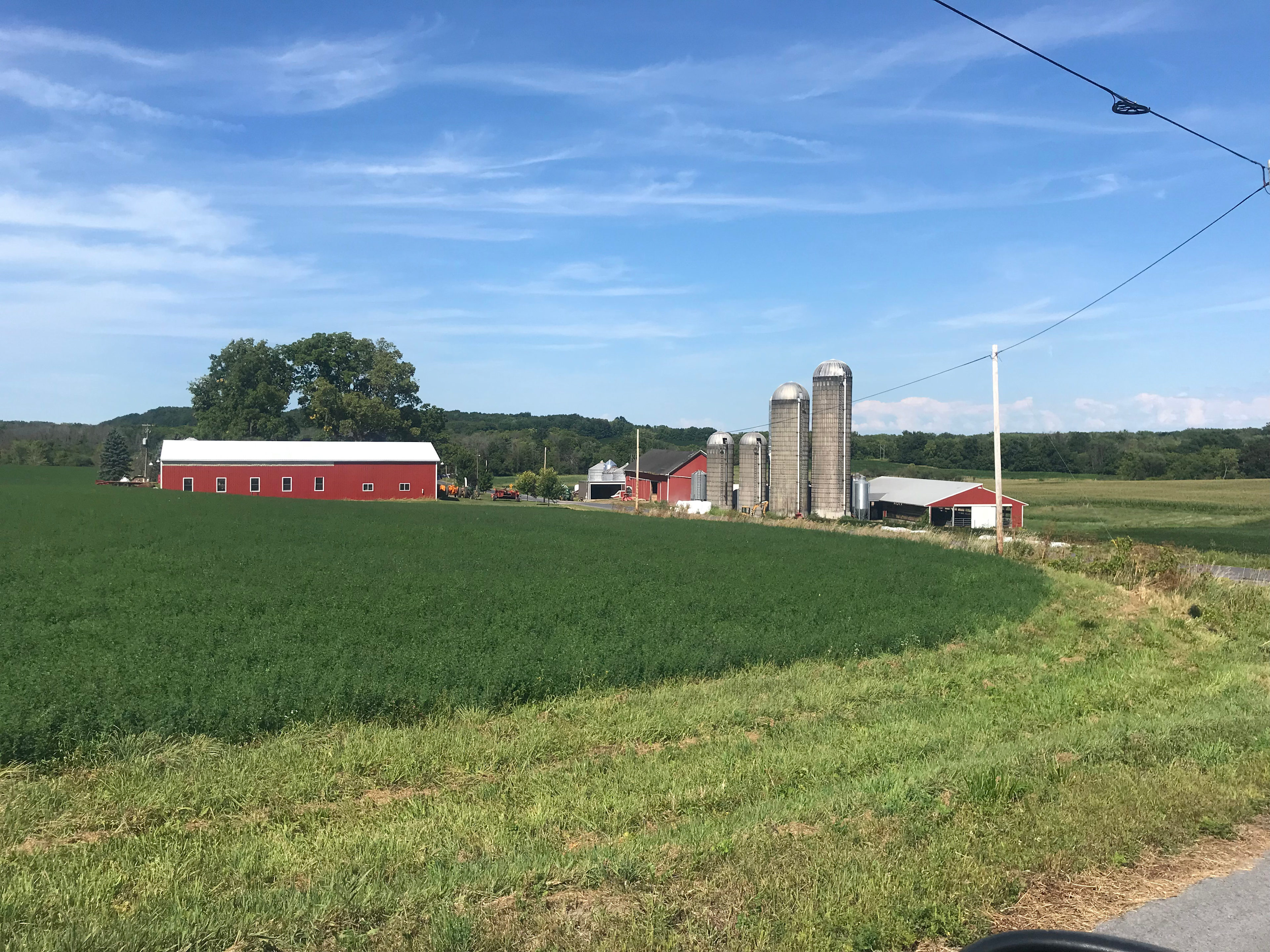 Sunrise View Farm