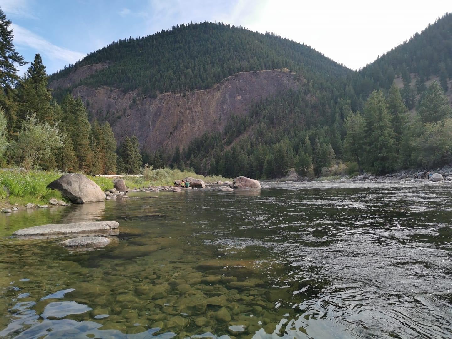 Pineview camping