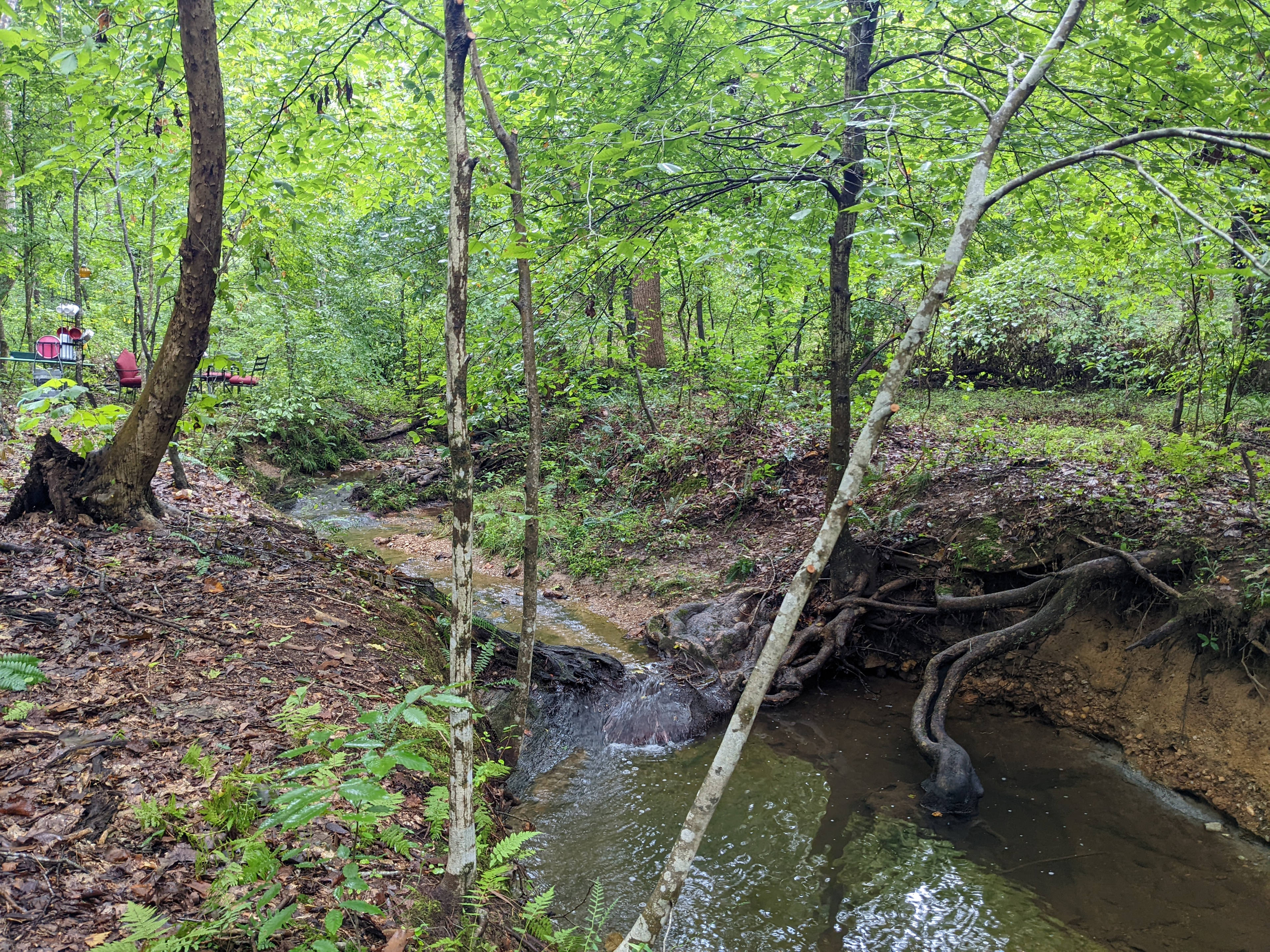 Enjoy the sound of the water or cool off in the creek!