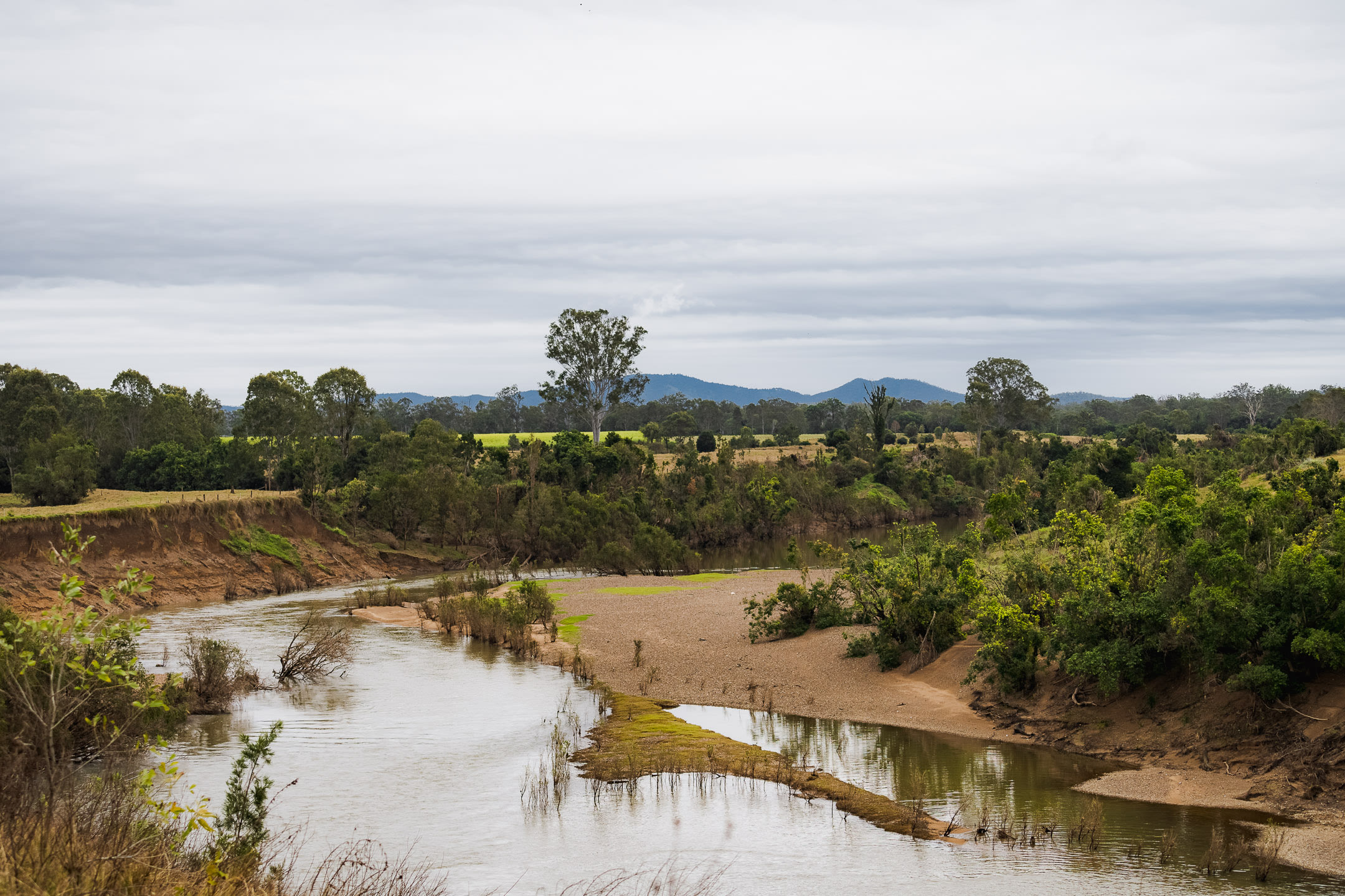 Going for a walk to scope out the property and riverbank. You can see the flood damage so easily.