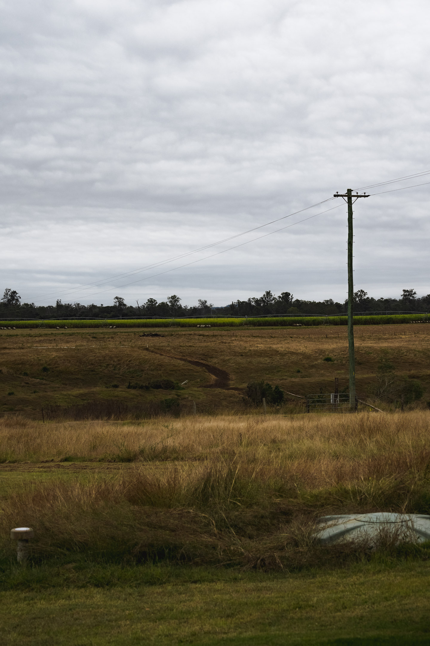 Looking across the river (below frame) at another property from the backyard.