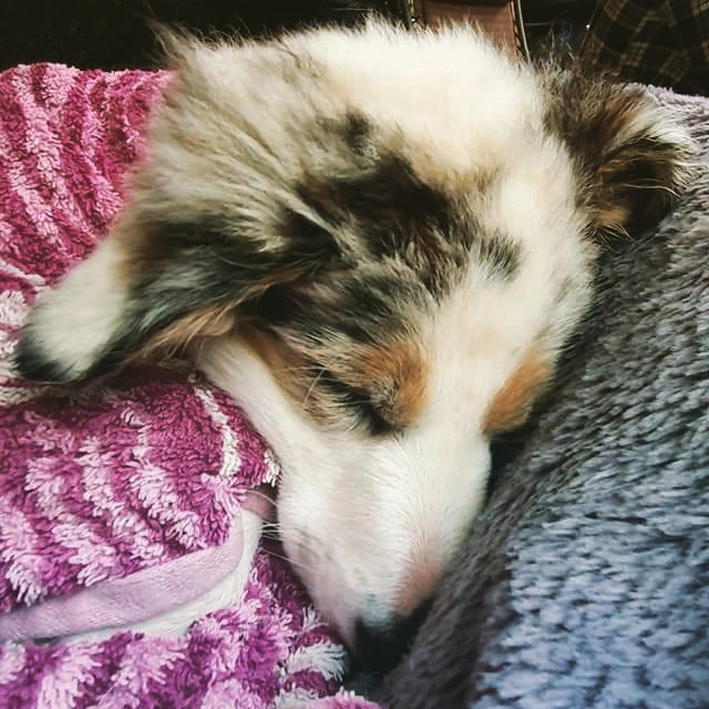 Tanah Suci (Sacred Ground)