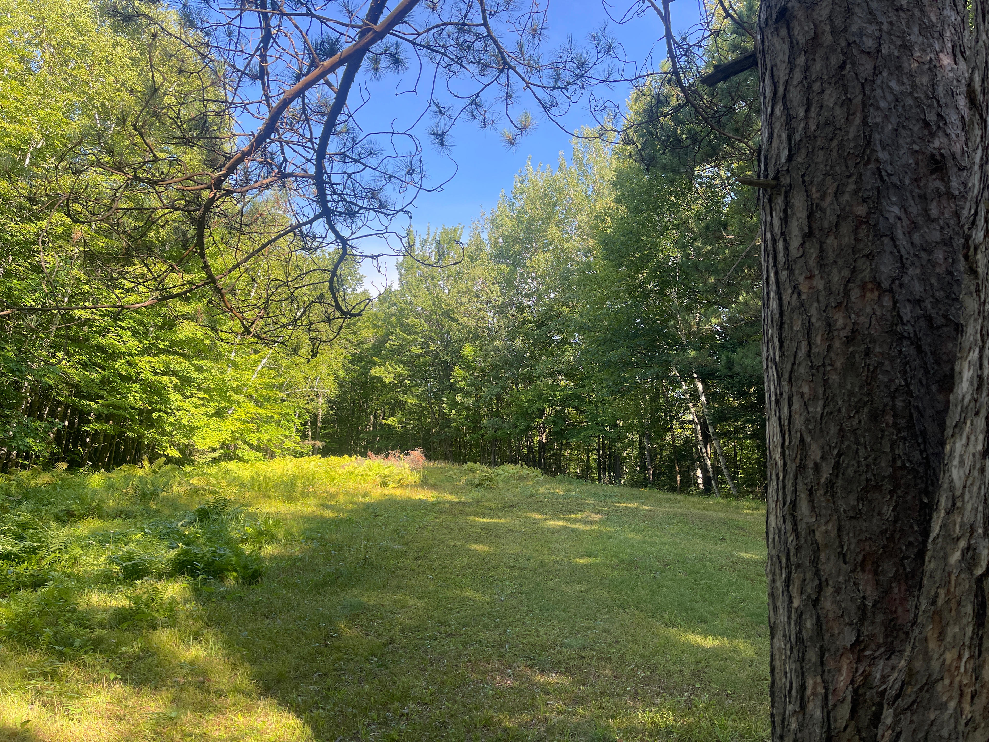 Site 1