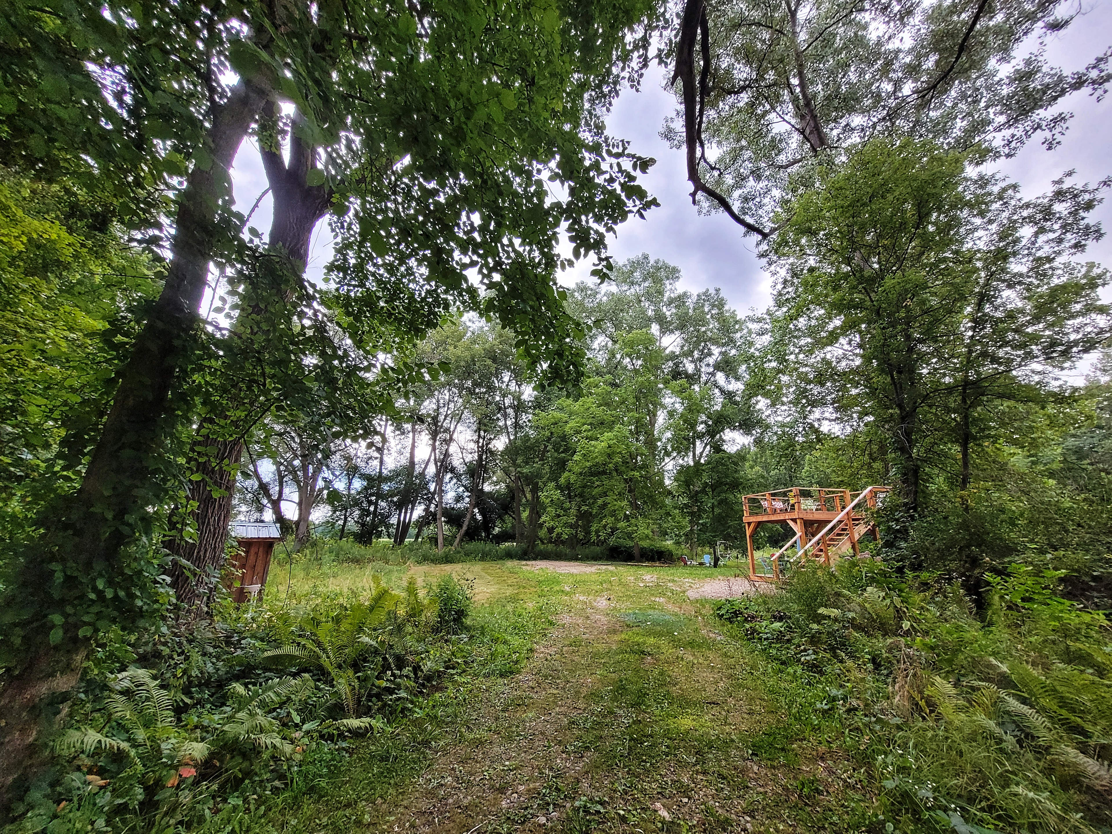 Welcome to our little getaway that's still close to everything! During the summer it is very thick and lush, the tall ferns provide much privacy.