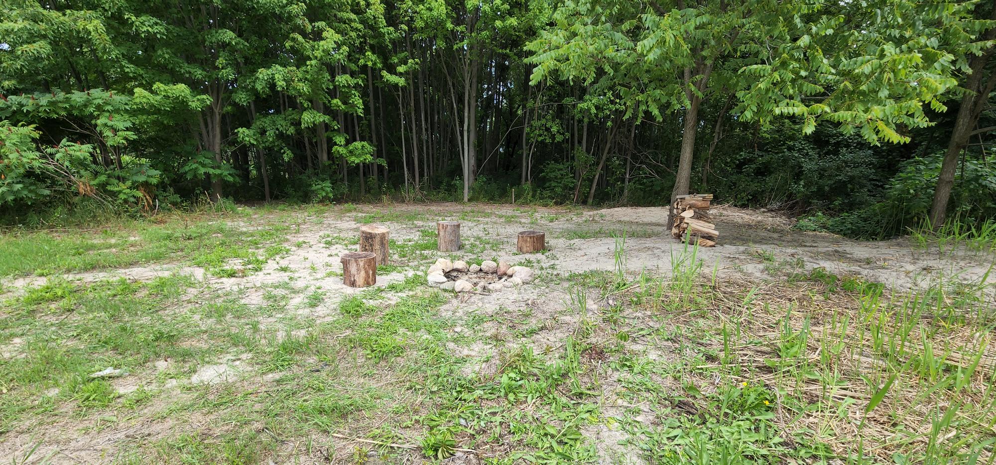 Campsite #1 - fire-pit and firewood