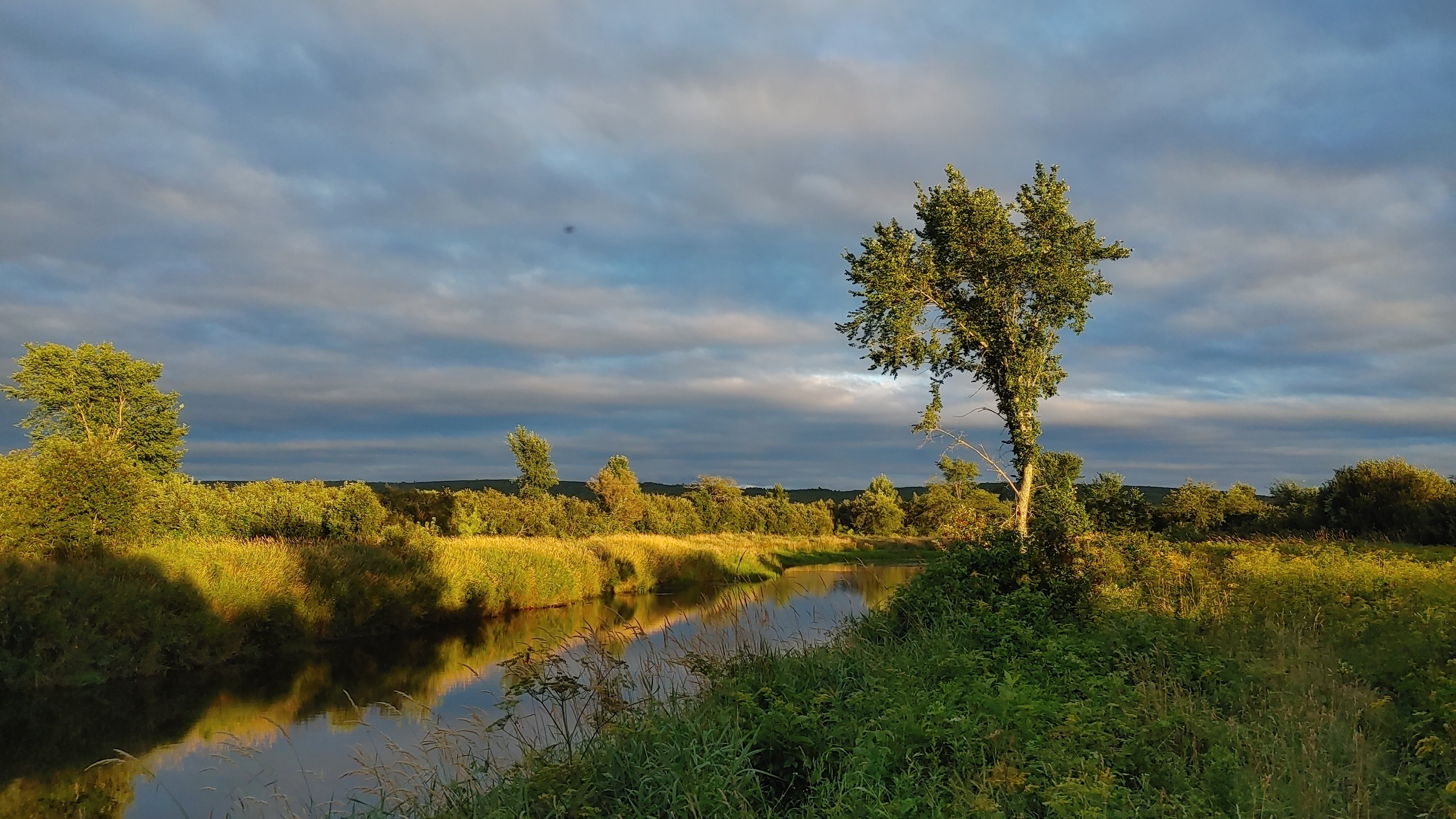 Canvas Tent on Stewiacke River