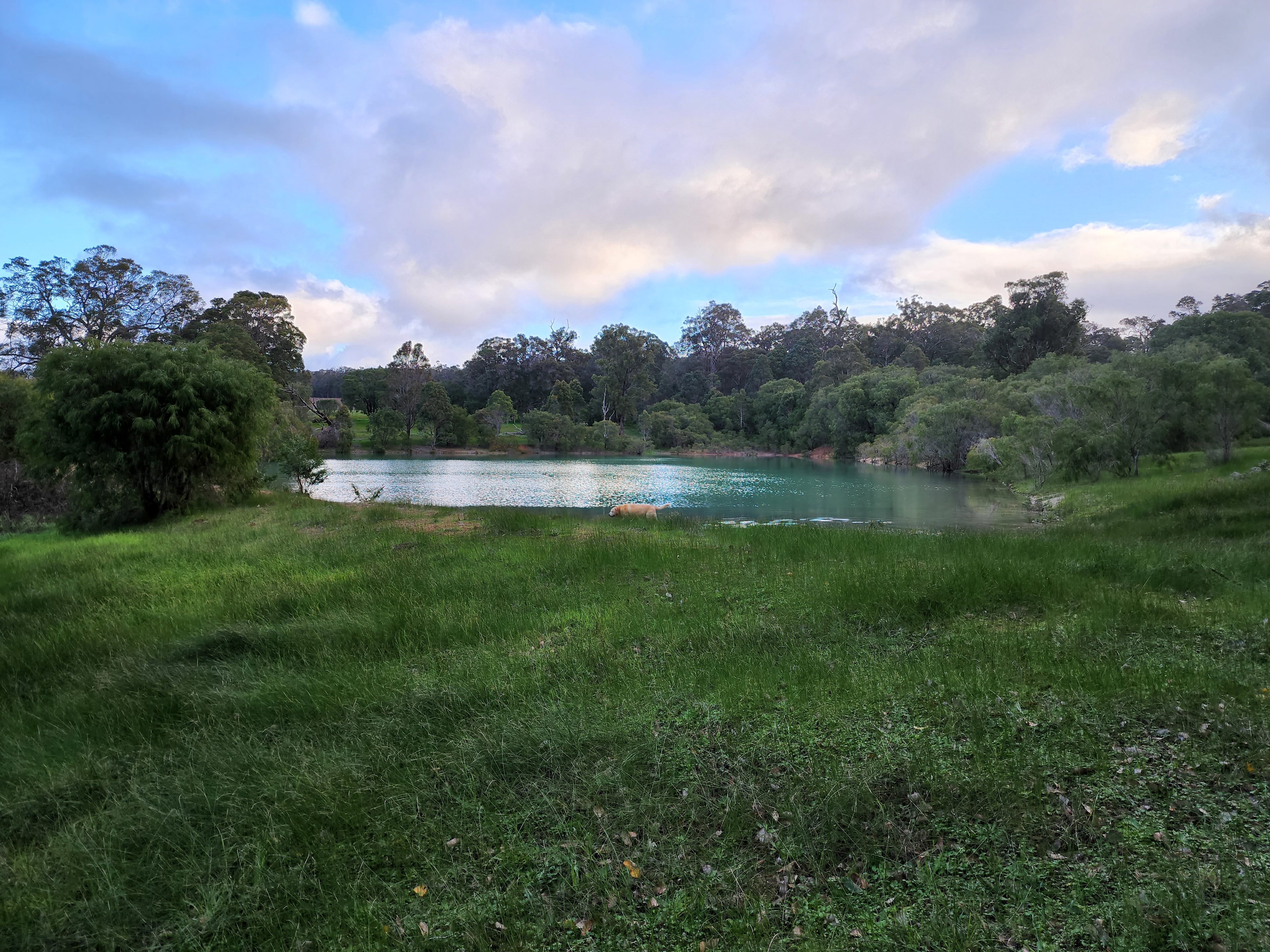The Farm natural swimming lake