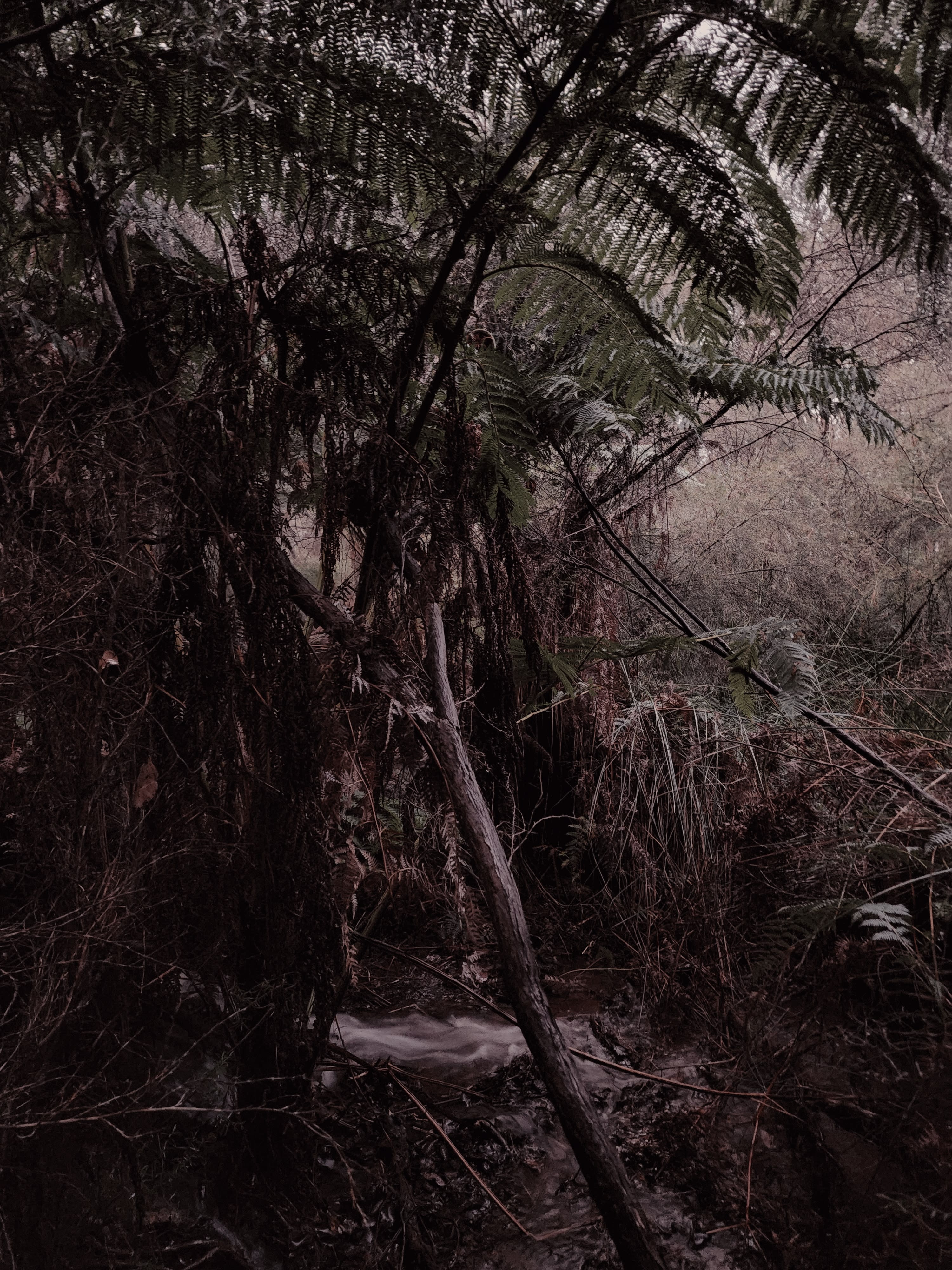 Margaret River - Rosa Glen Farm