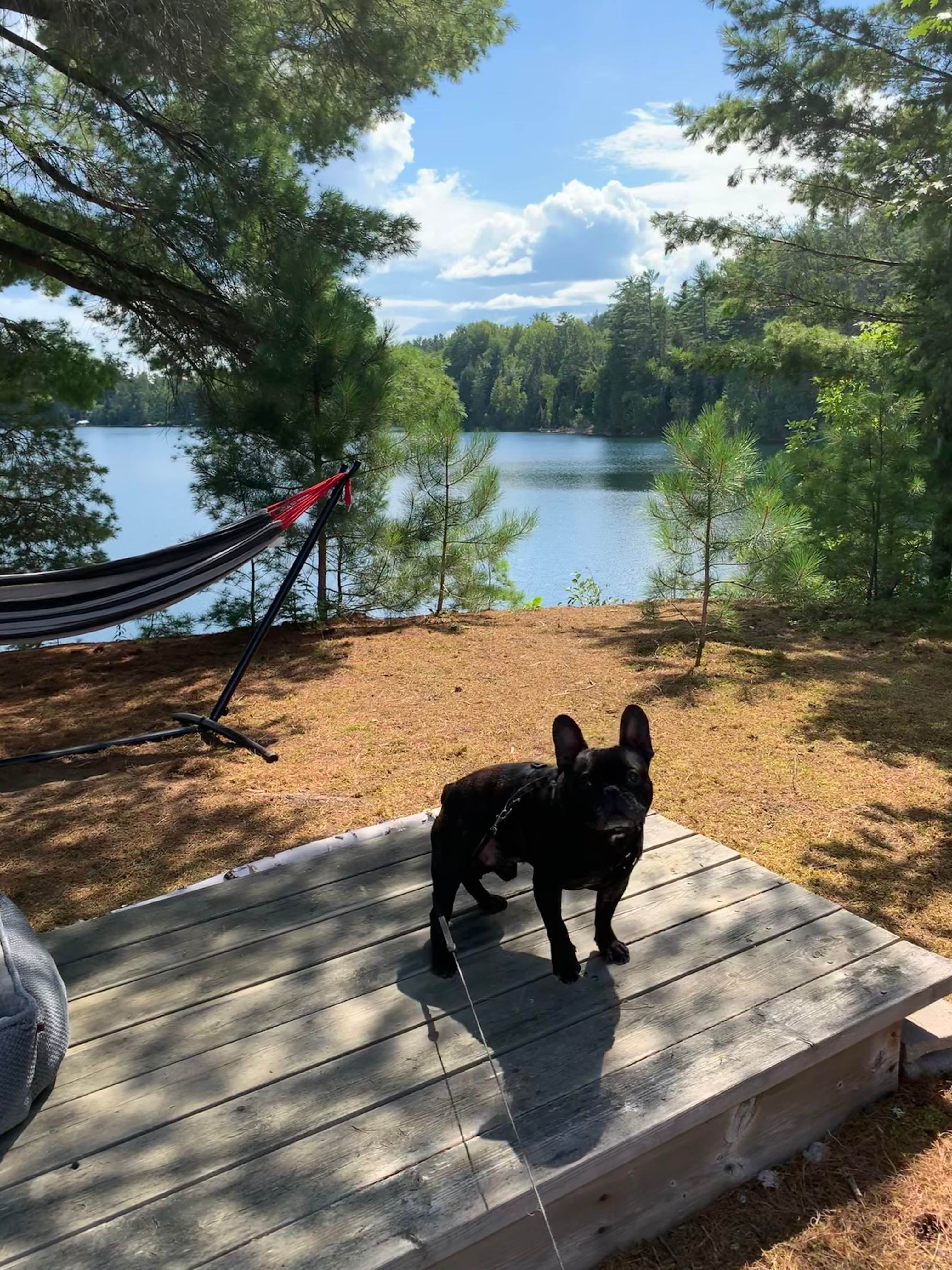 Lakefront Glamping Retreat