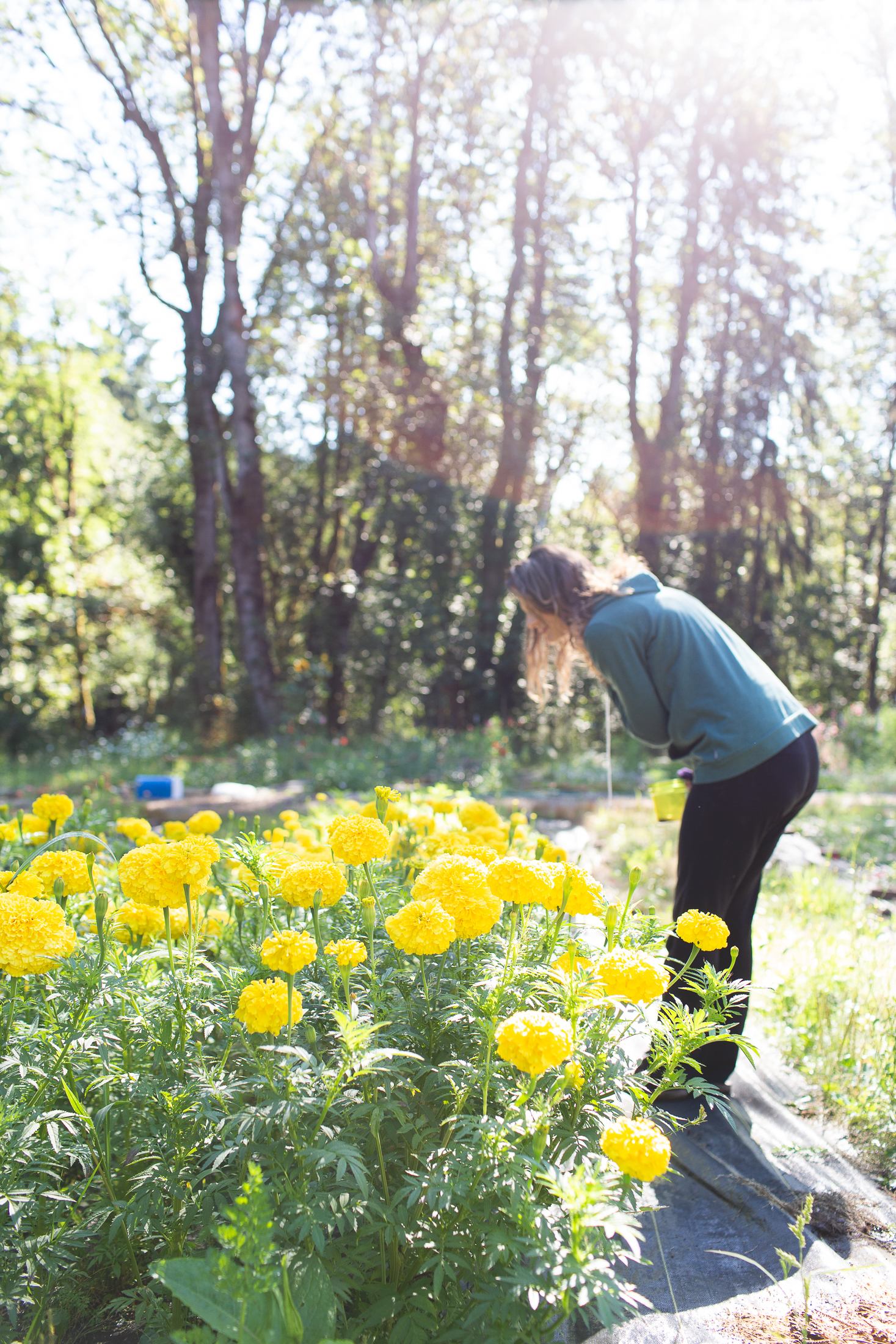 Olalla Flower Farm Glamping