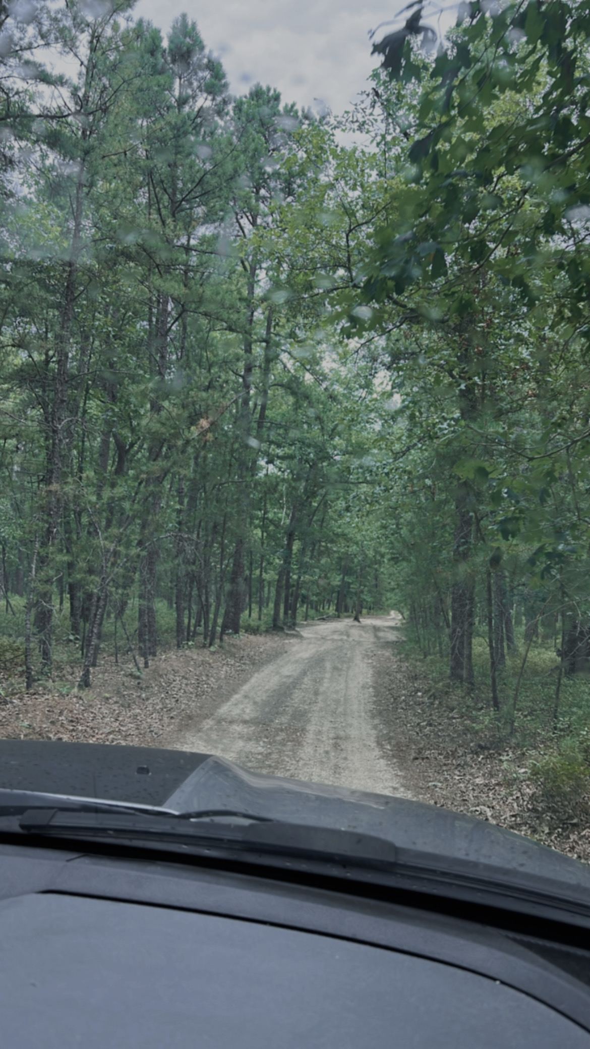 Road to access the camp site 